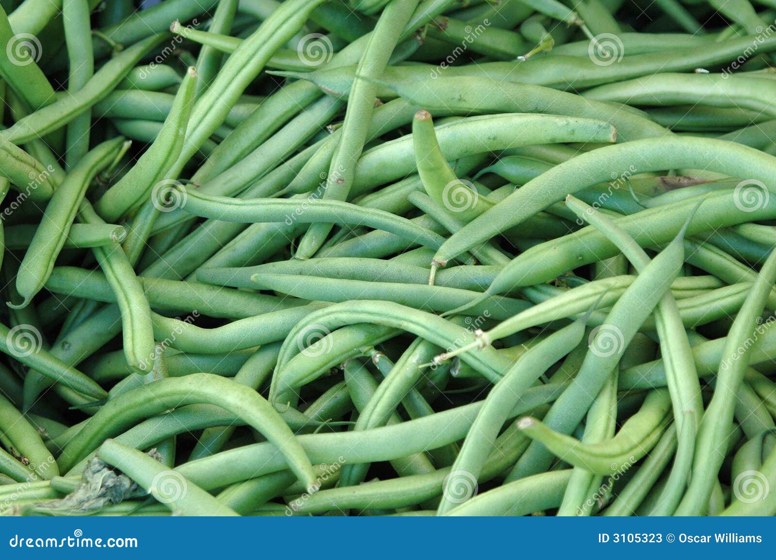 Green Beans stock image. Image of groceries, cholestrol 3105323