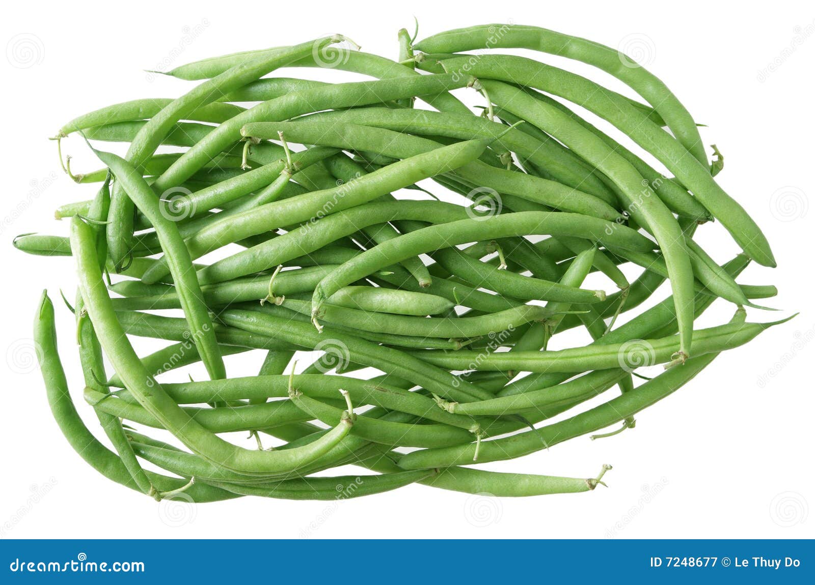 clipart of green beans - photo #40