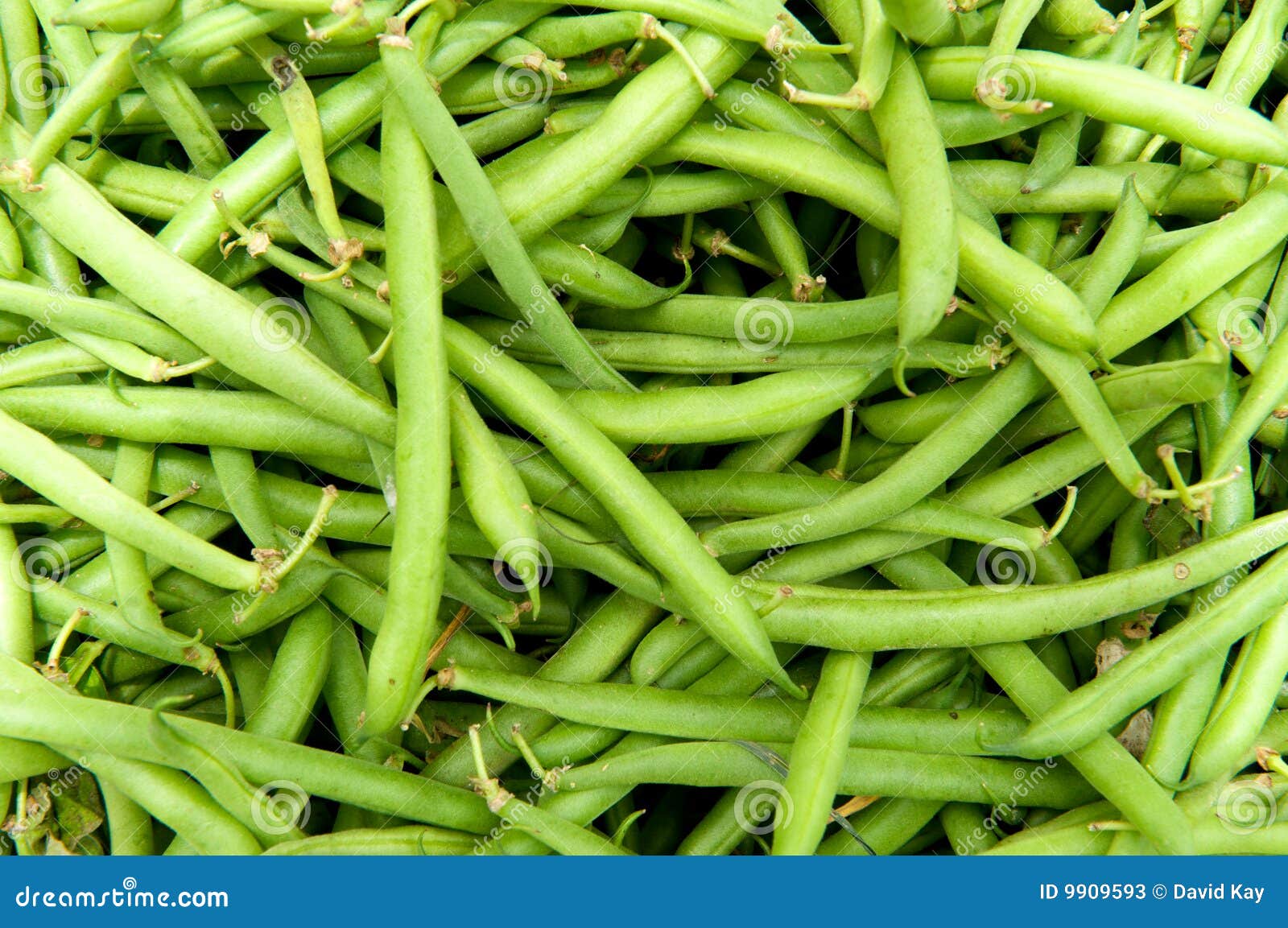 Green Beans stock image. Image of recipe, freshness, produce 9909593