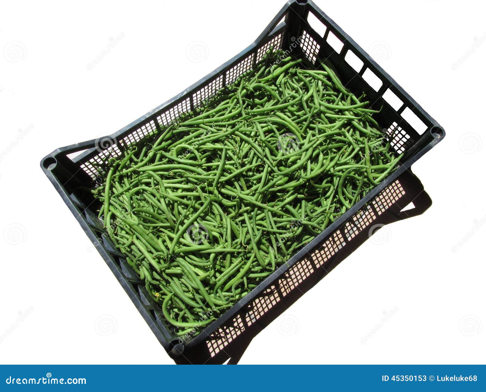 green beans in box on white background