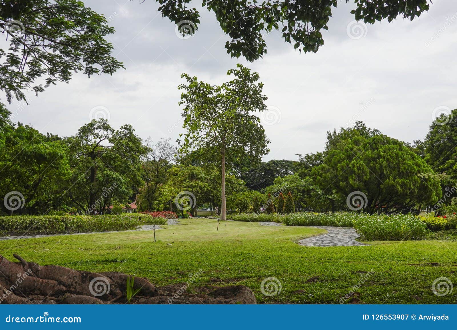Green Beautiful National Park and Sky in Evening Stock Image - Image of ...