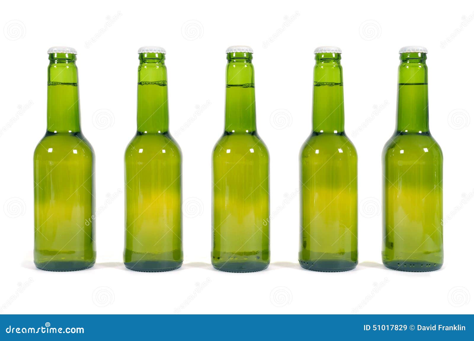 Green Beer Bottles in a Row Isolated on White Background Stock Image