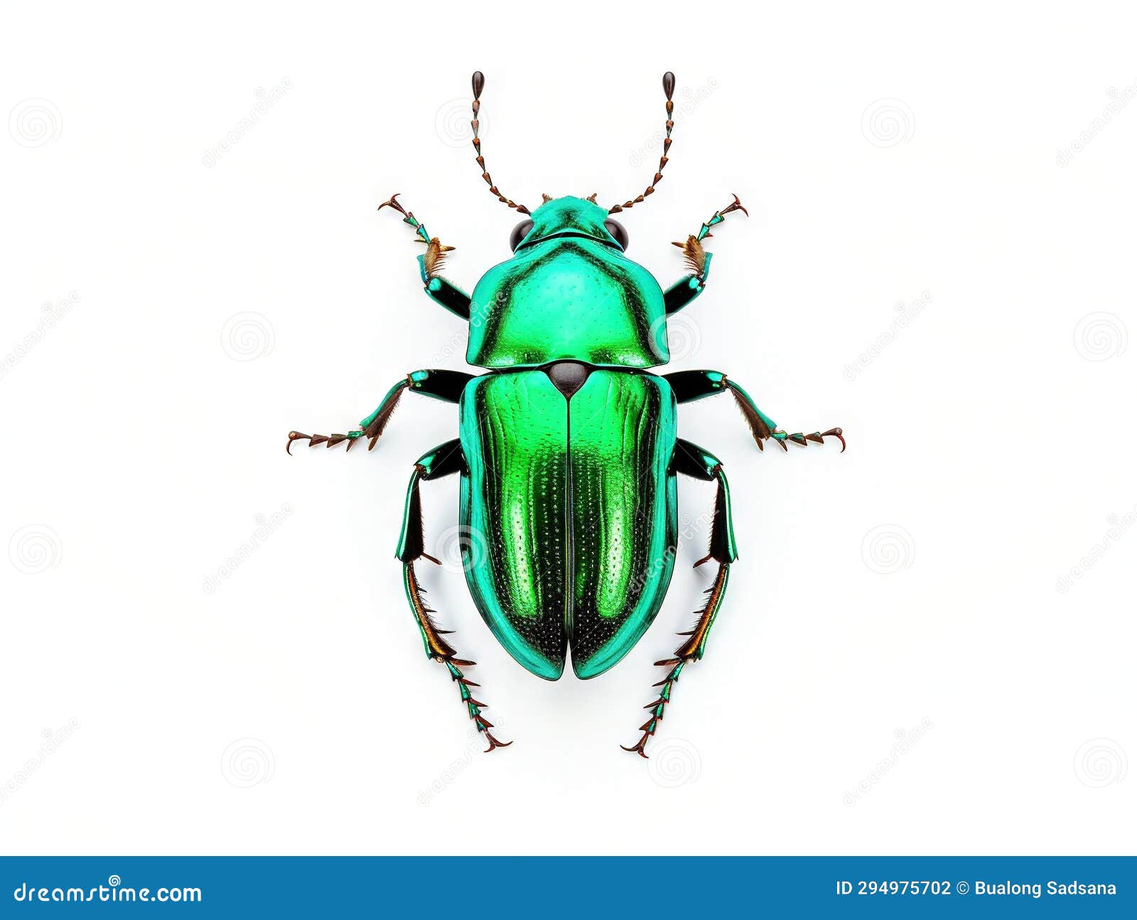 Green Beetle Insect Isolated on White Made with Generative AI