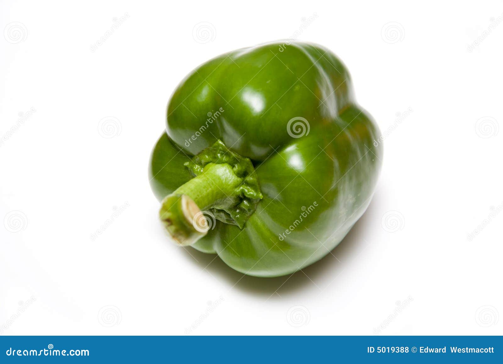 Green bell pepper stock photo. Image of bell, shiny, natural 5019388