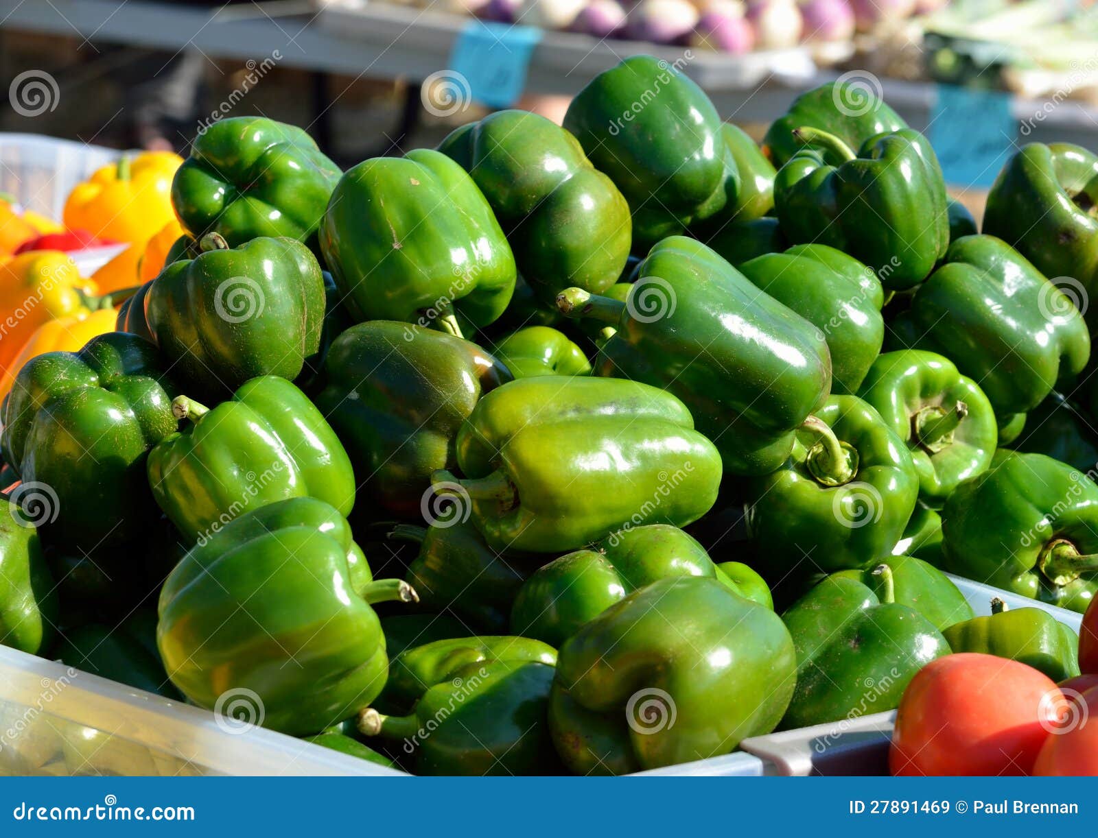 Green bell peppers stock image. Image of food, healthy 27891469