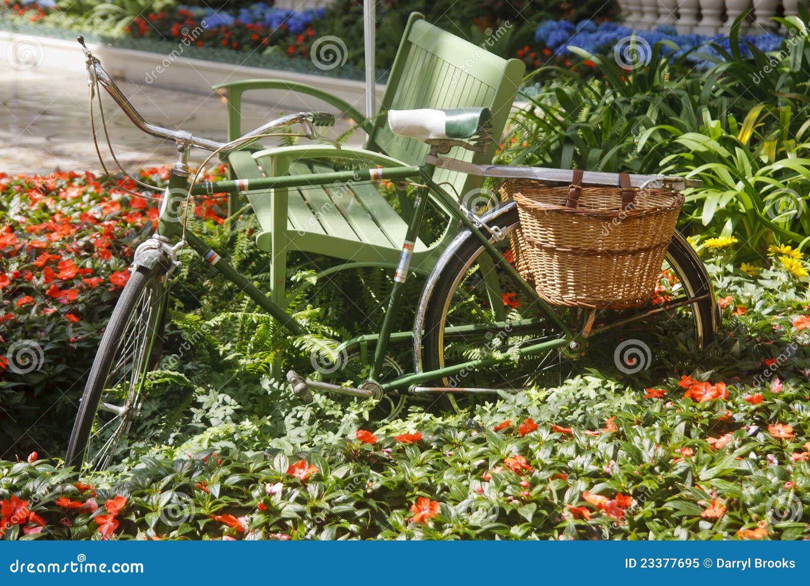Green Bike in Garden stock image. Image of antique, bike 23377695
