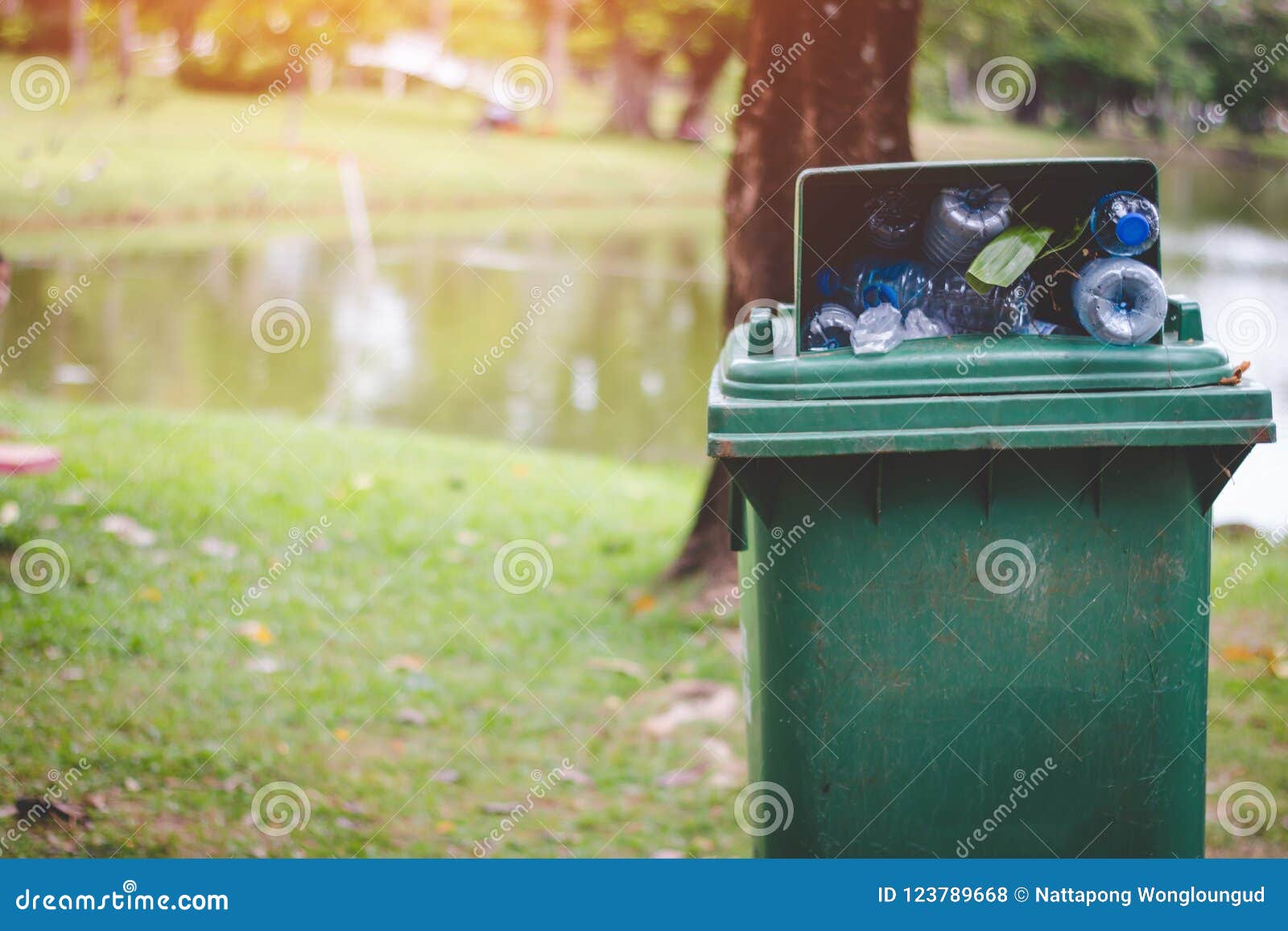The Green Bin is Full of Rubbish. Stock Photo Image of ecosystem