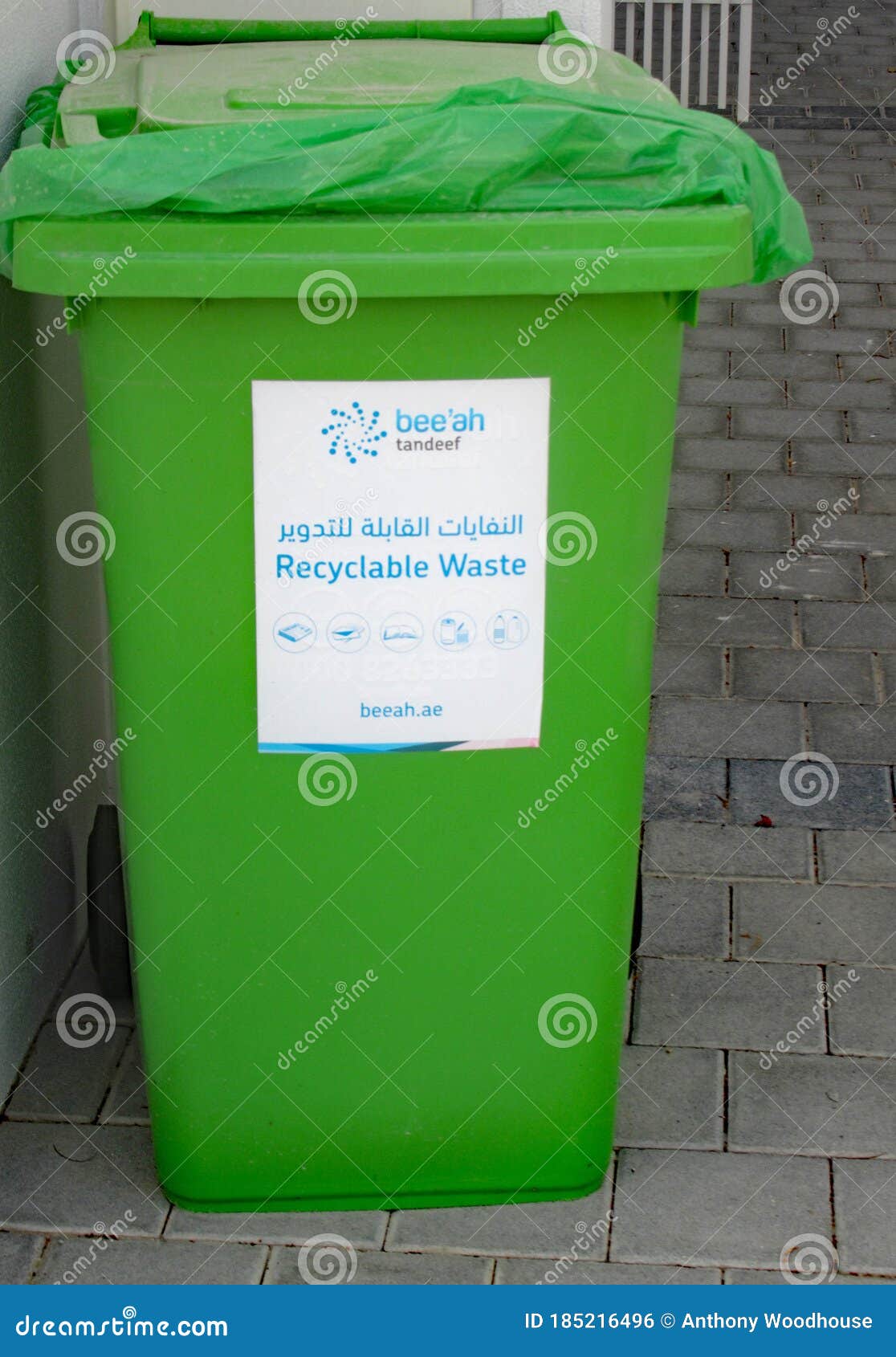 Green Bin Recycling in Dubai Stock Photo Image of conservation
