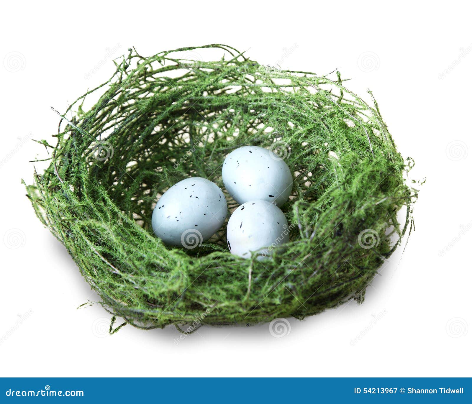 Green Bird Nest with Blue Eggs Stock Image Image of life, speckled