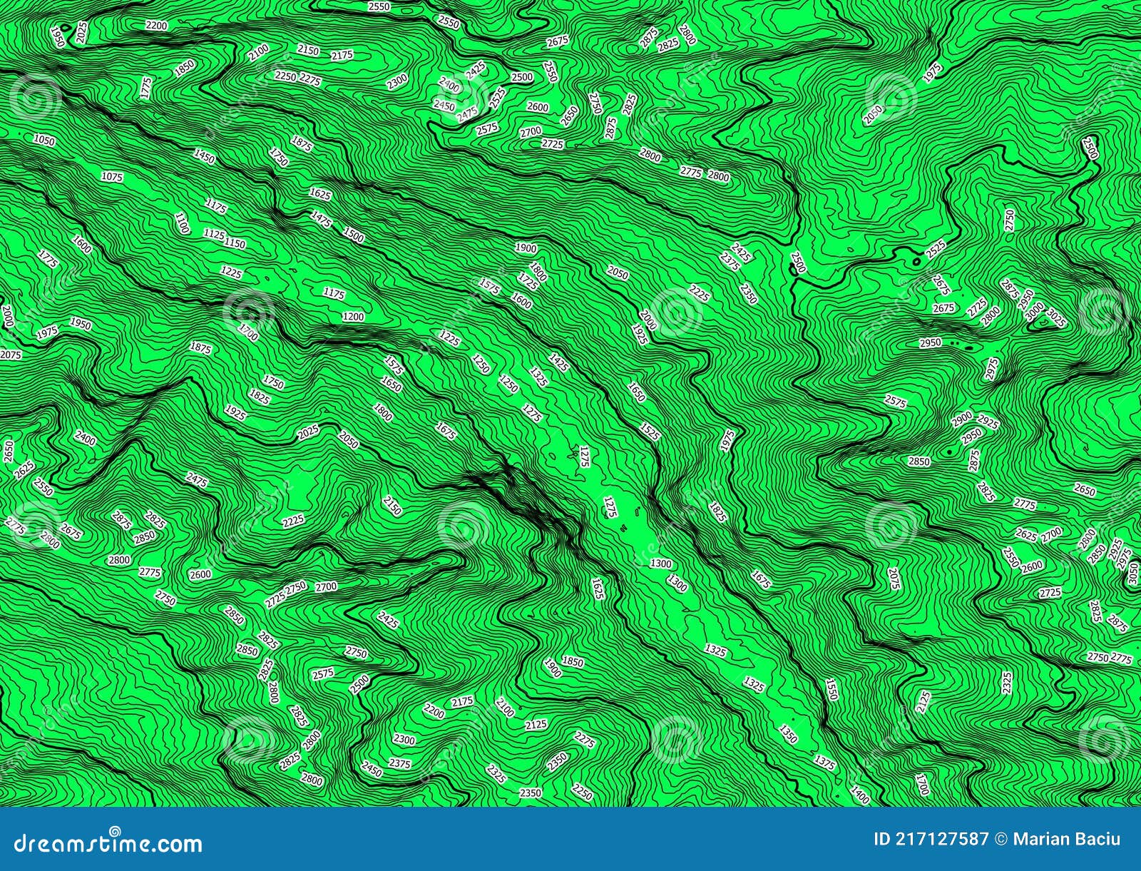 An Green And Black Topographic Map Lines 25 M Level Curves Contour Terrain Path Travel Background Geographic Abstract Grid Stock Illustration Illustration Of Geographic Curves