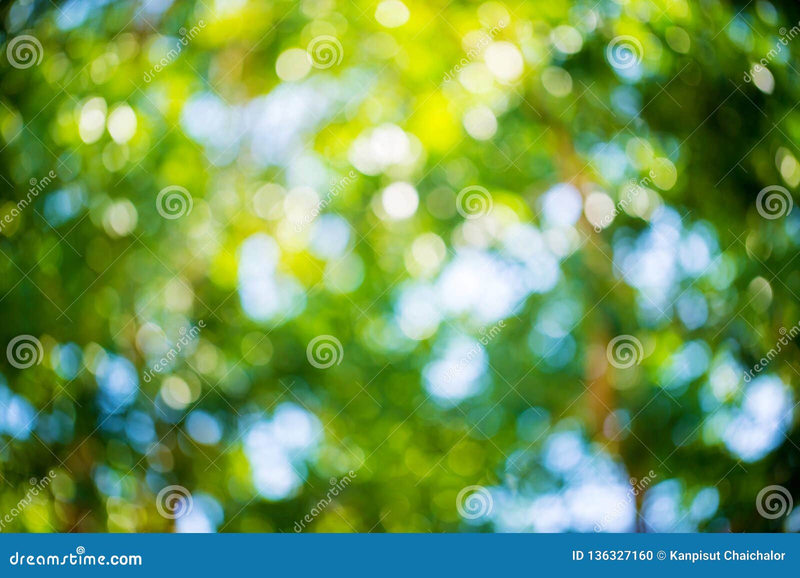 Green And Blue Summer Bokeh For Background Natural Green Blur Style