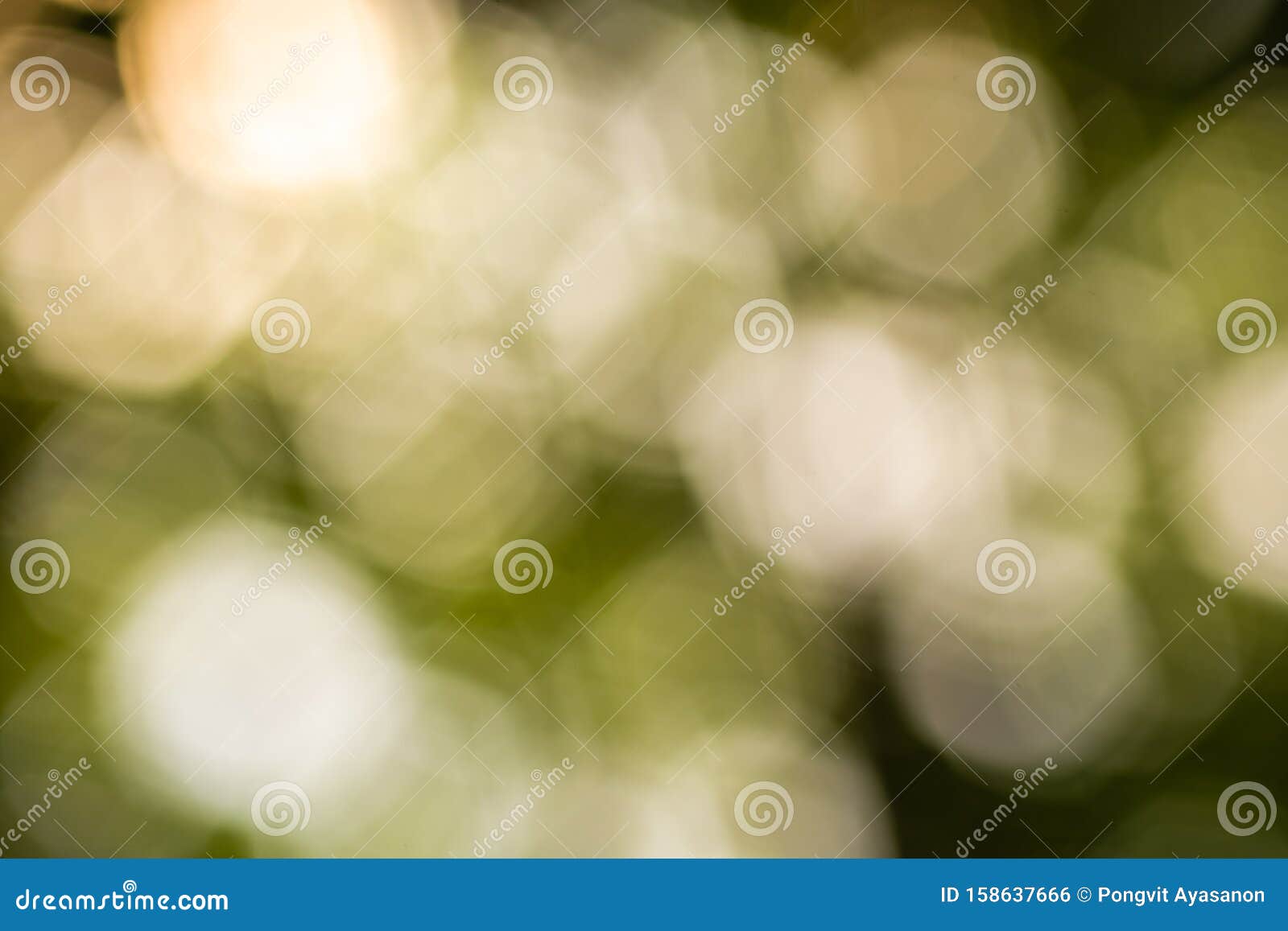 green bokeh background,green bokeh,green bokeh abstract