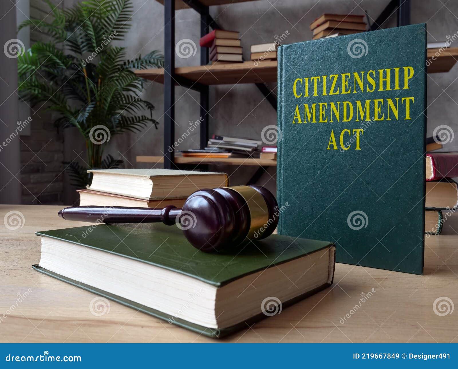 green book with citizenship amendment act caa.
