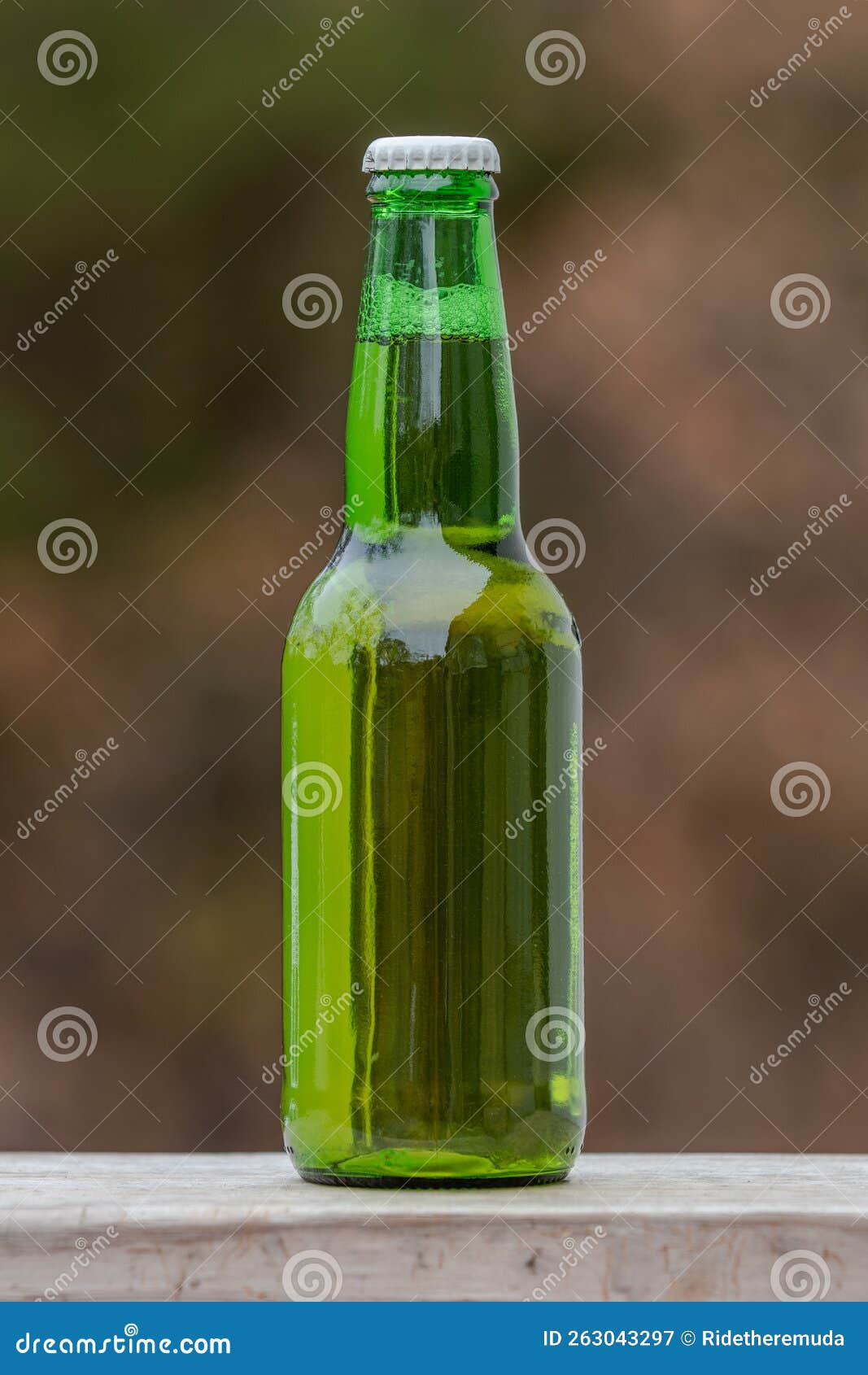 Green Bottle of Beer stock image. Image of beer, isolated 263043297