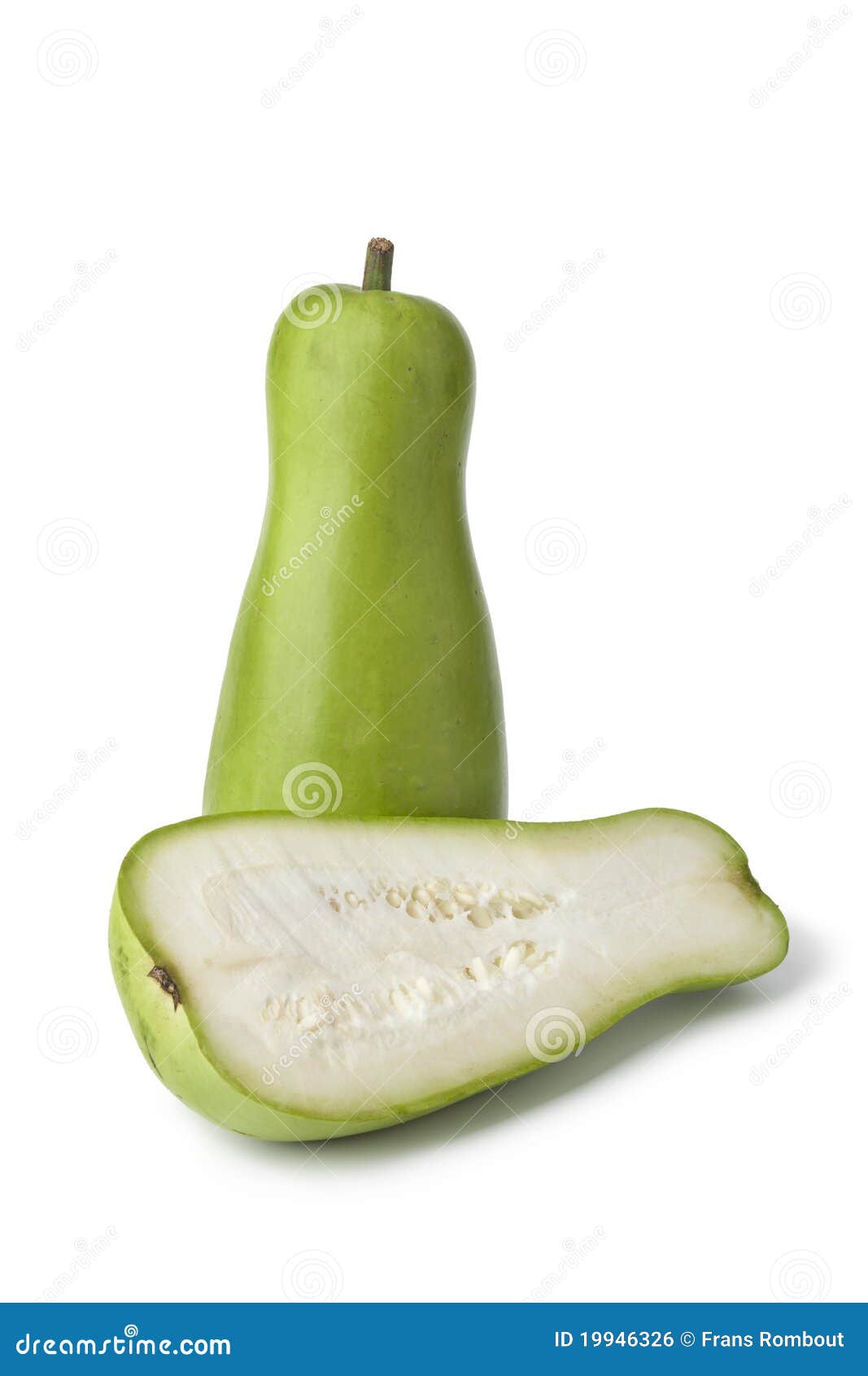 Green bottle gourd stock photo. Image of bottle, herbal 19946326