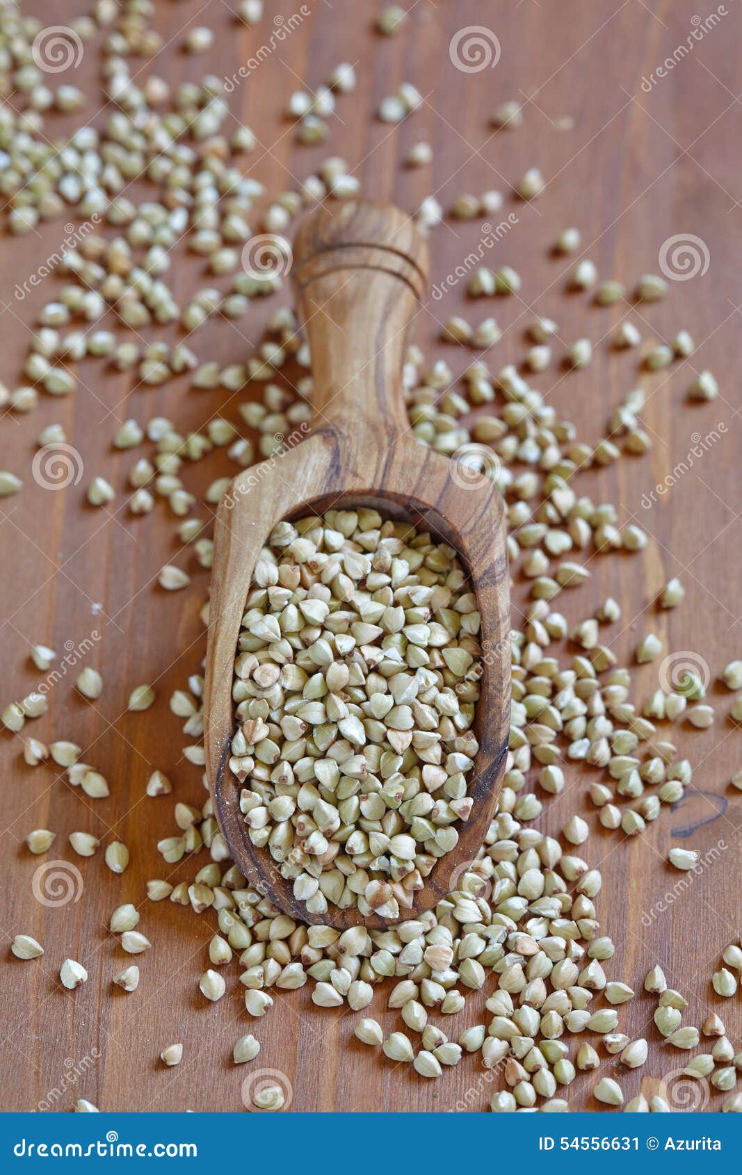 Green buckwheat stock image. Image of nature, buckwheat 54556631