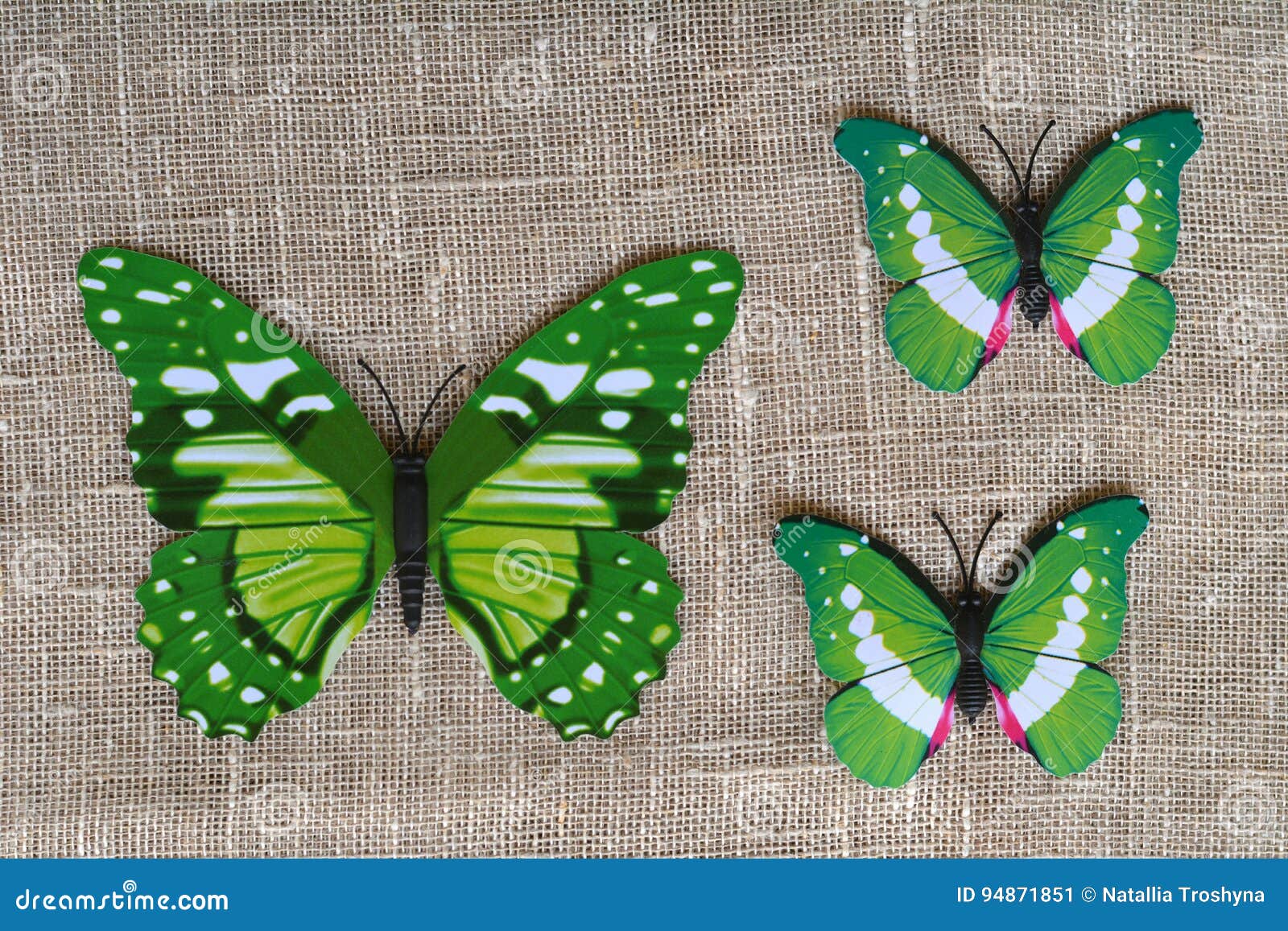 Green Butterflies Decorative Stock Image Image of decorative