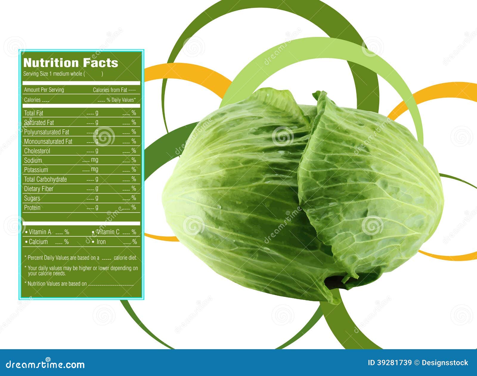 Green Cabbage Nutrition Facts Stock Vector Image 39281739 with Nutrition Facts Cabbage