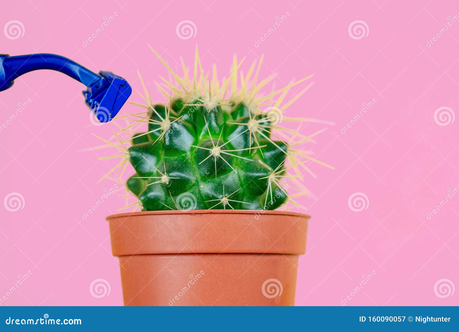 https://thumbs.dreamstime.com/z/green-cactus-brown-pot-razor-pink-background-concept-depilation-epilation-removal-unwanted-hair-body-160090057.jpg