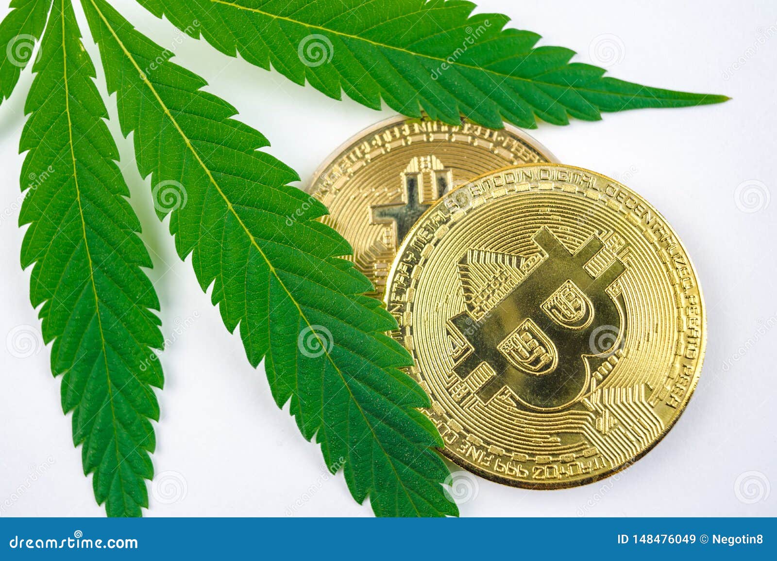 investing in bitcoin currency and cannabis