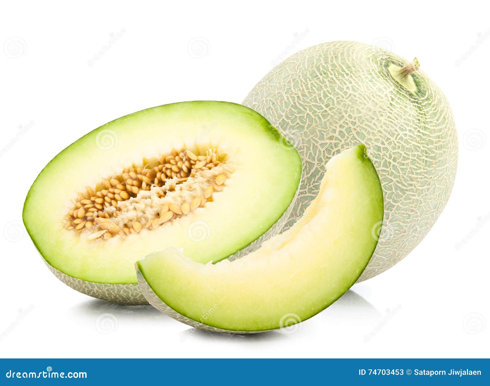Green Cantaloupe Melon Isolated Stock Image Image of natural, full