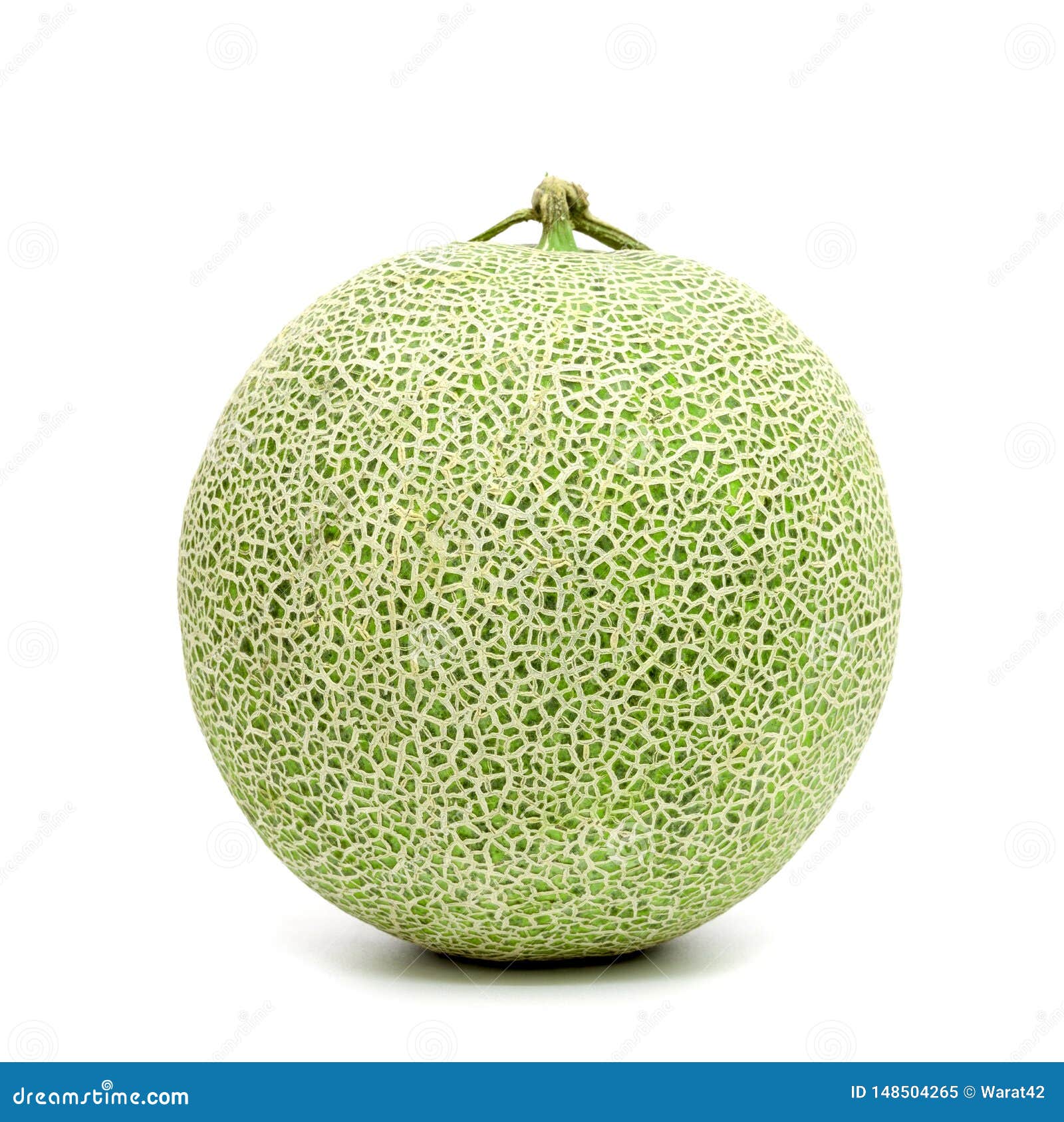 Green Cantaloupe Melon Isolated on White Background Stock Image Image