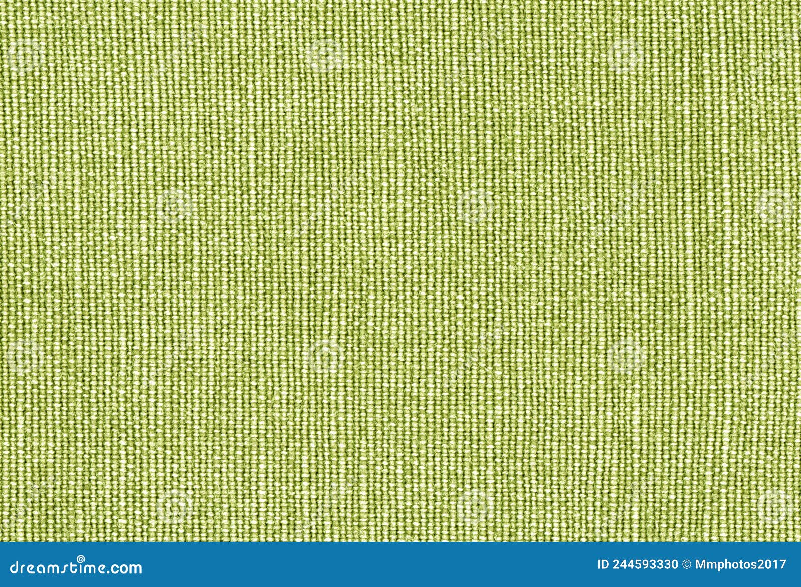 Green canvas background stock photo. Image of detail 244593330