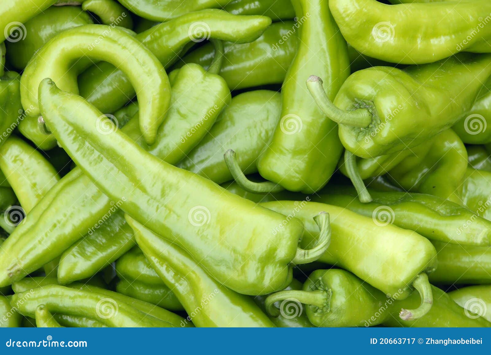 Green capsicum stock image. Image of vegetable, produce 20663717