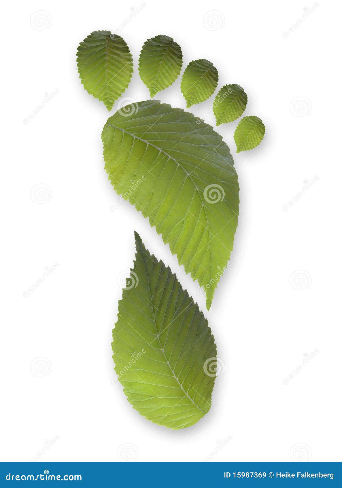 green carbon leaf footprint