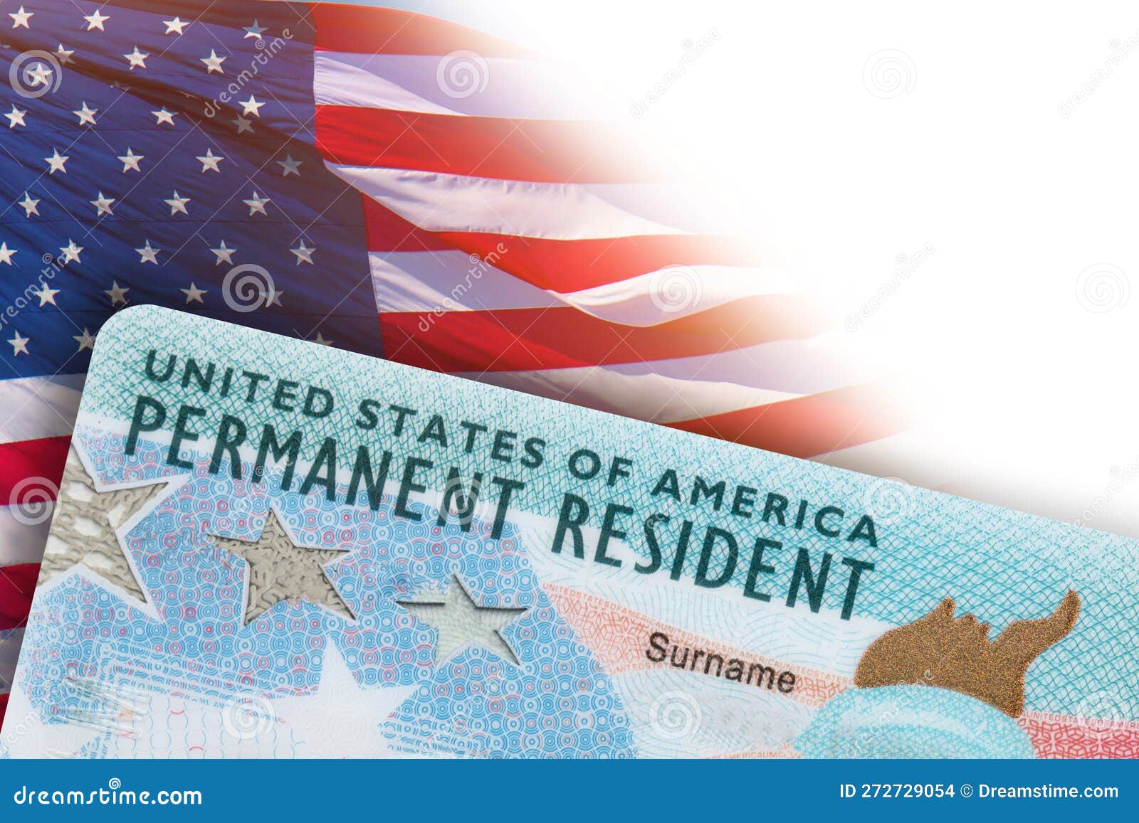 Green Card. US Permanent Resident Card. Immigration To USA. Electronic