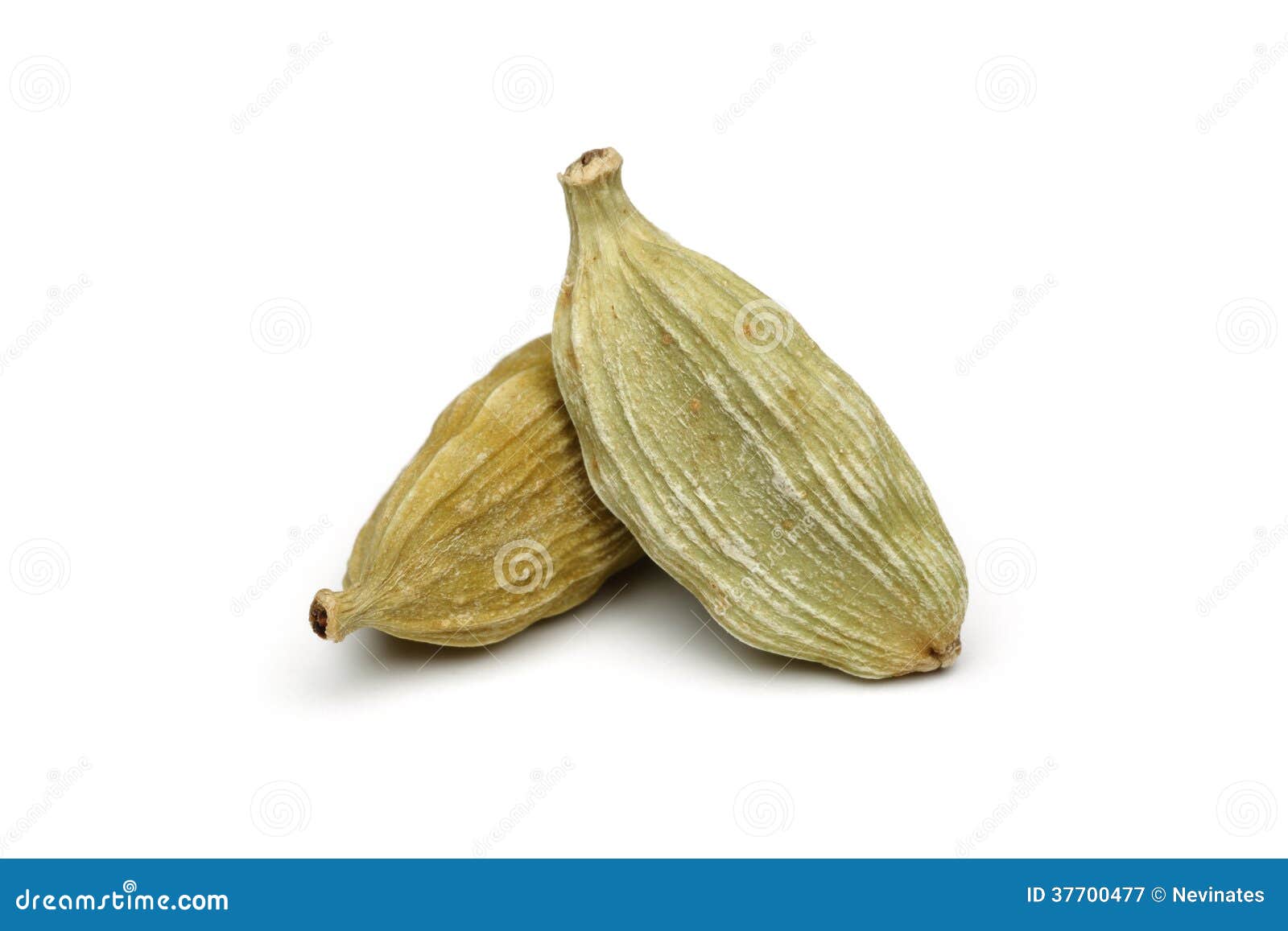 Green Cardamom Pods RoyaltyFree Stock Photography