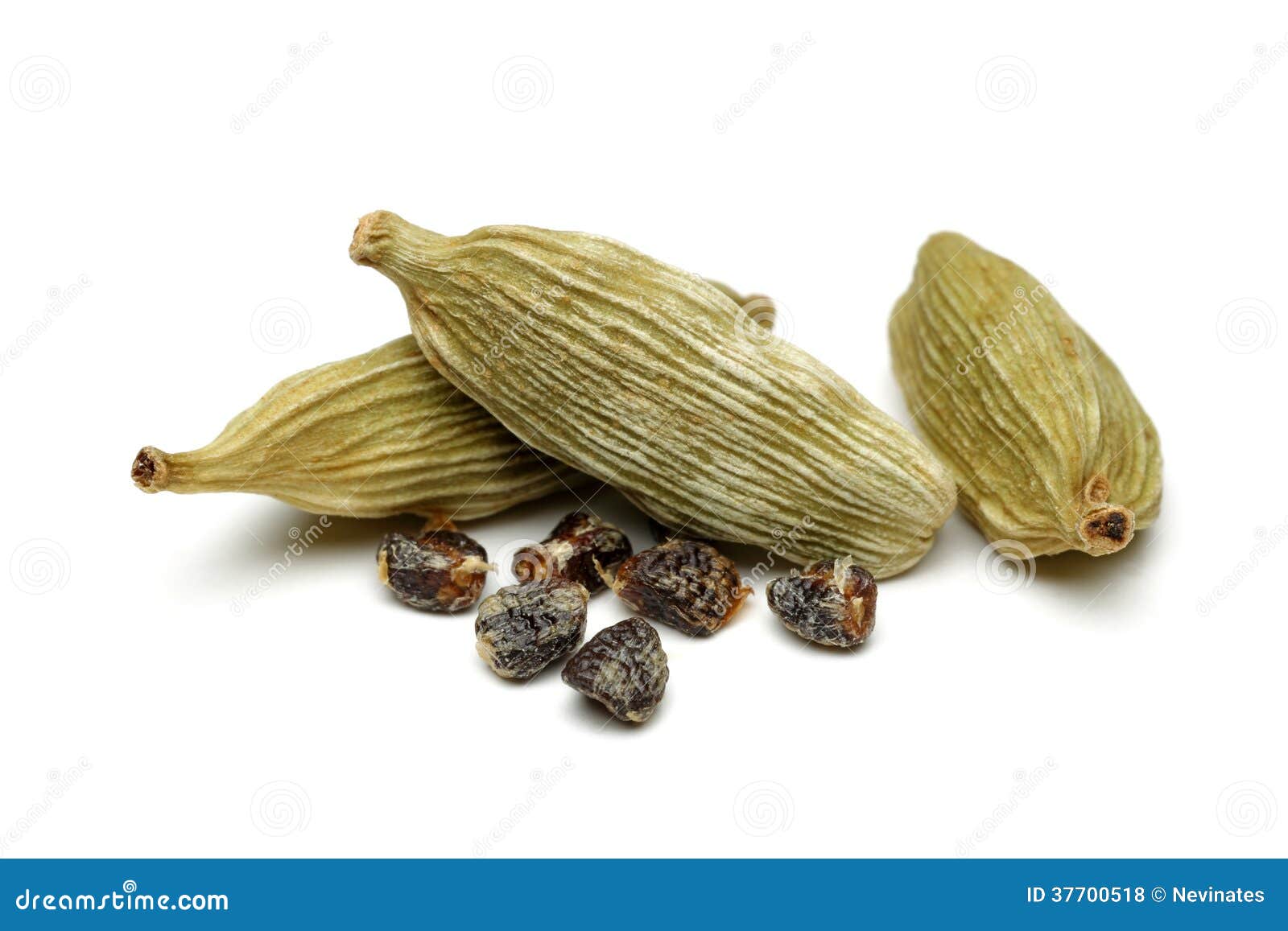 Green Cardamom Pods RoyaltyFree Stock Photography