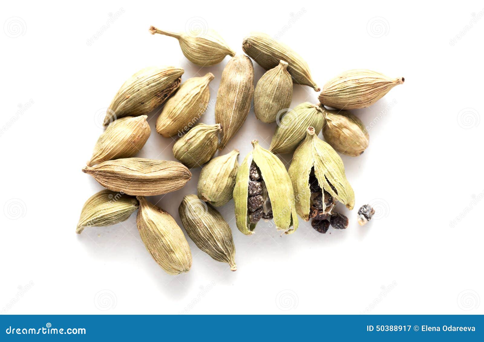 Green cardamom stock image. Image of aroma, ayurveda 50388917