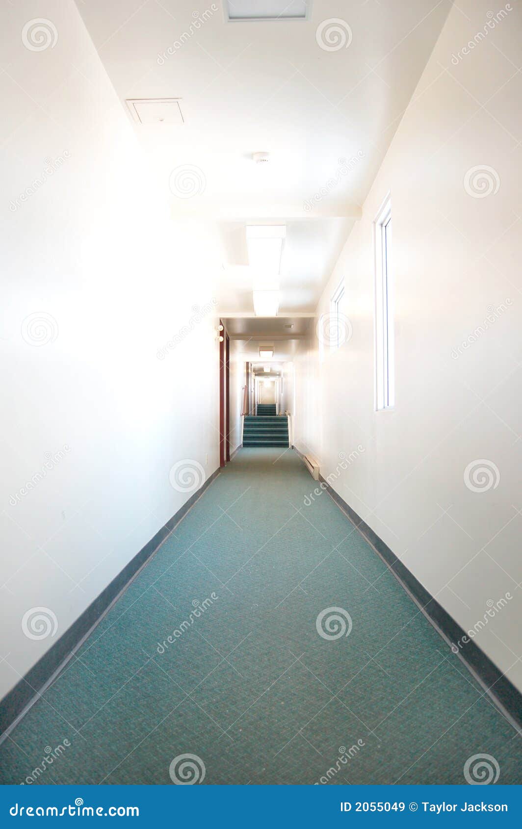 Green carpet stock image. Image of hall, hallway, base 2055049