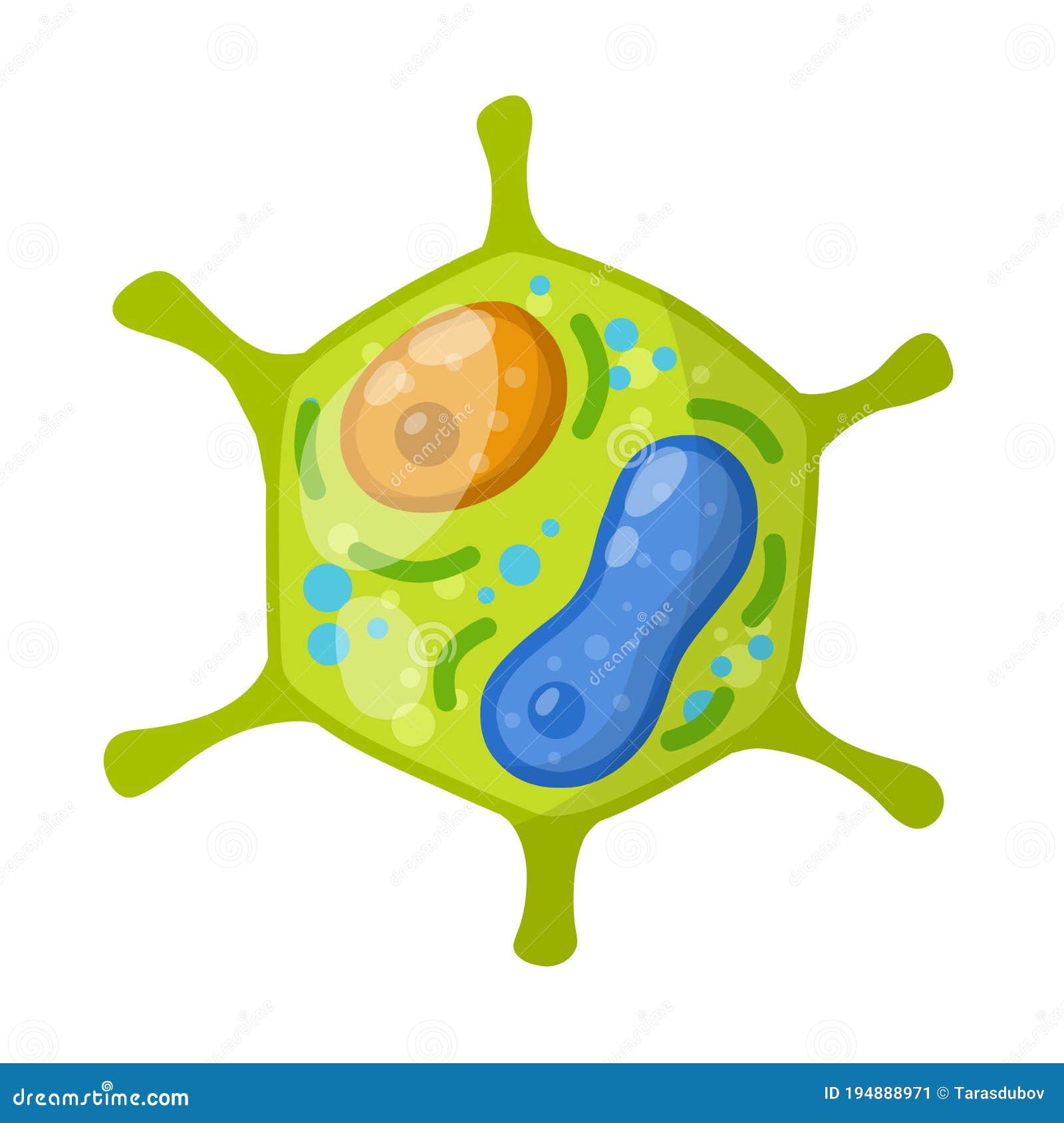 Green Cell of the Plant. Element of Science and Biology. Cartoon Flat Illustration Stock Vector - Illustration of chlorophyll, botany: 194888971 Green Cell of the Plant. Element of Science and Biology. Cartoon Flat Illustration Stock Vector - Illustration of chlorophyll, botany: 194888971