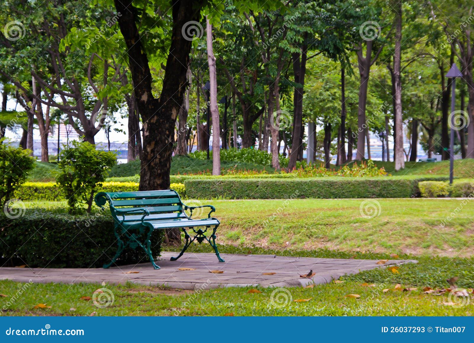 The Green Chair in the Park. Stock Image Image of outdoor, green