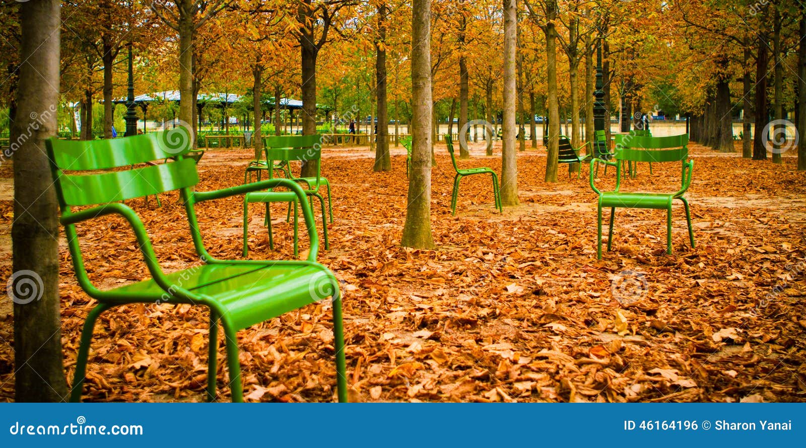Green Chairs on Autumn Falling Leaves Stock Photo Image of falling