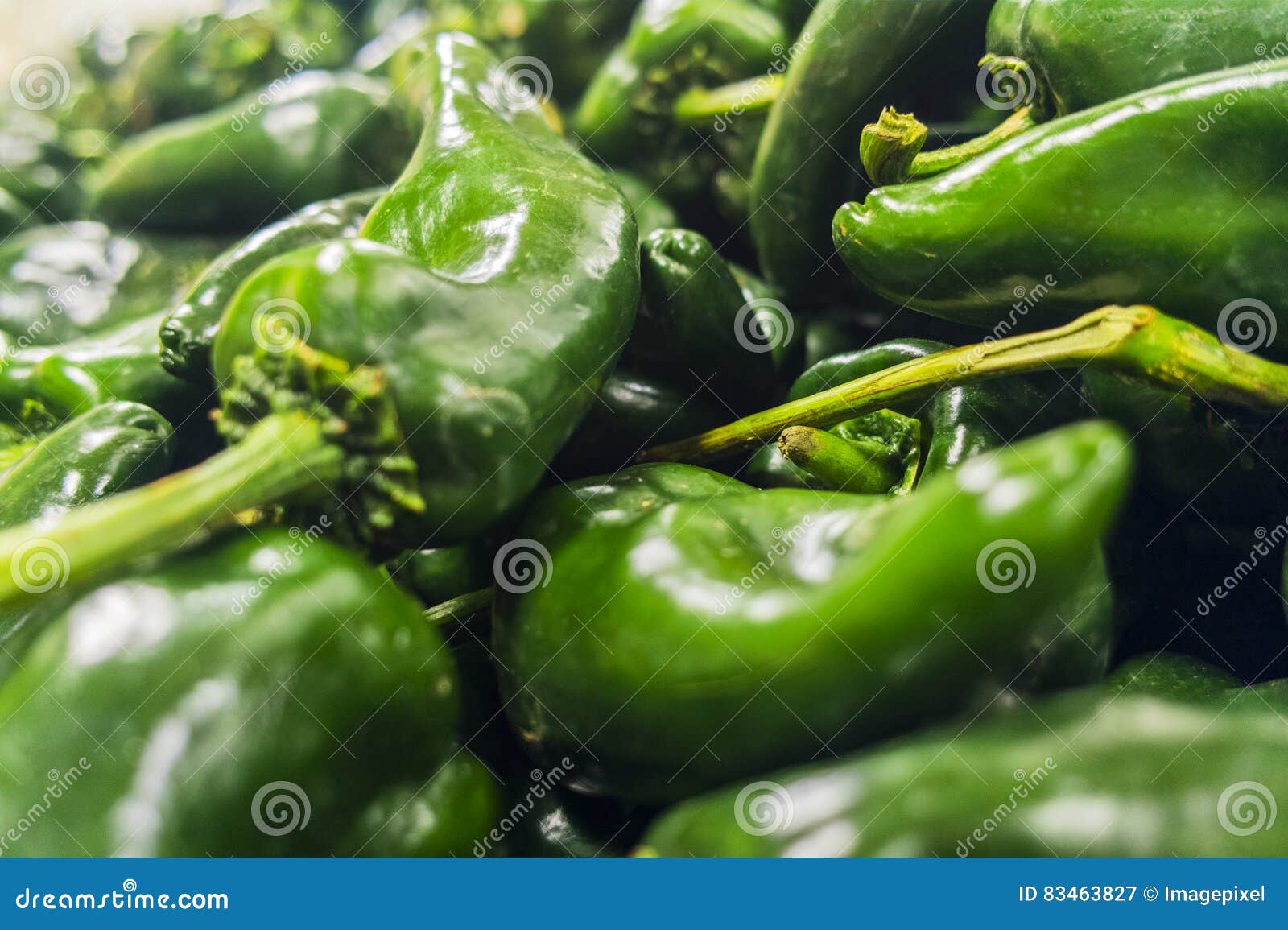 Green Chile Pepper Background Stock Image Image of jalapeno, bunch