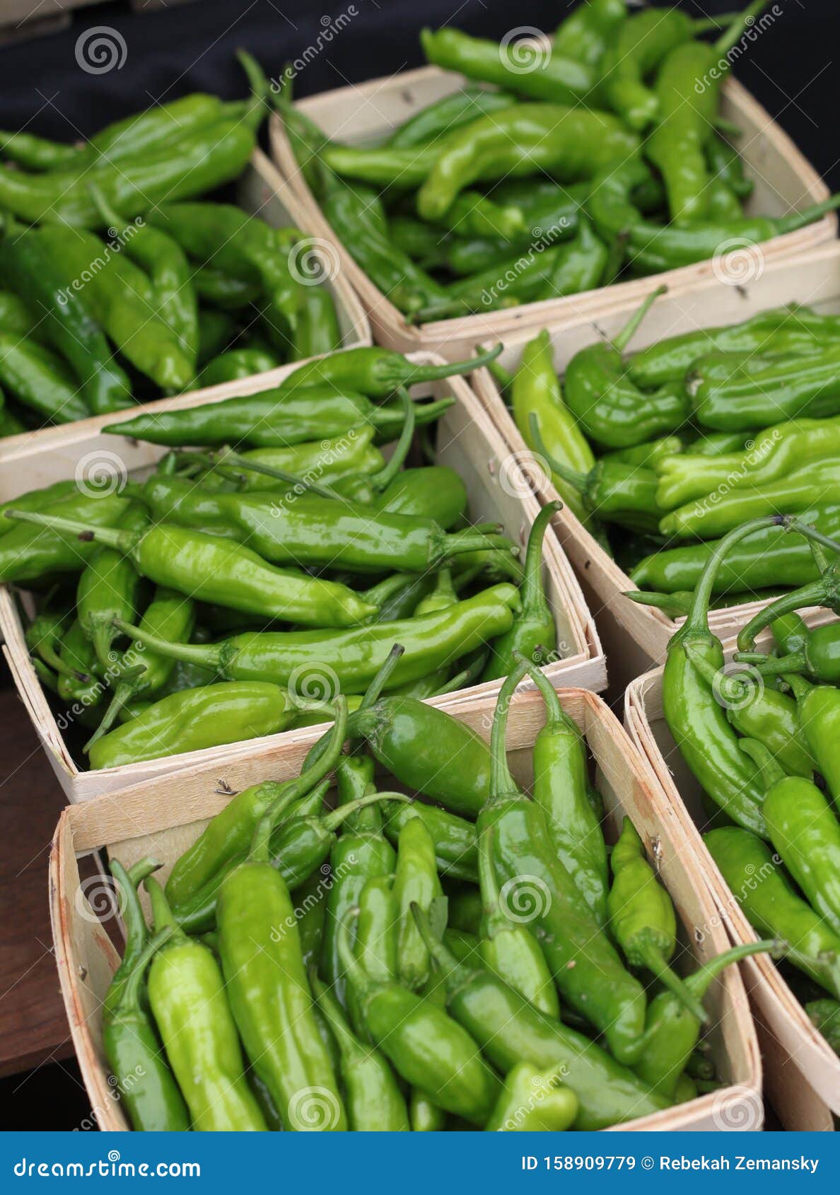 Green chile peppers 2959 stock image. Image of capsaicin 158909779