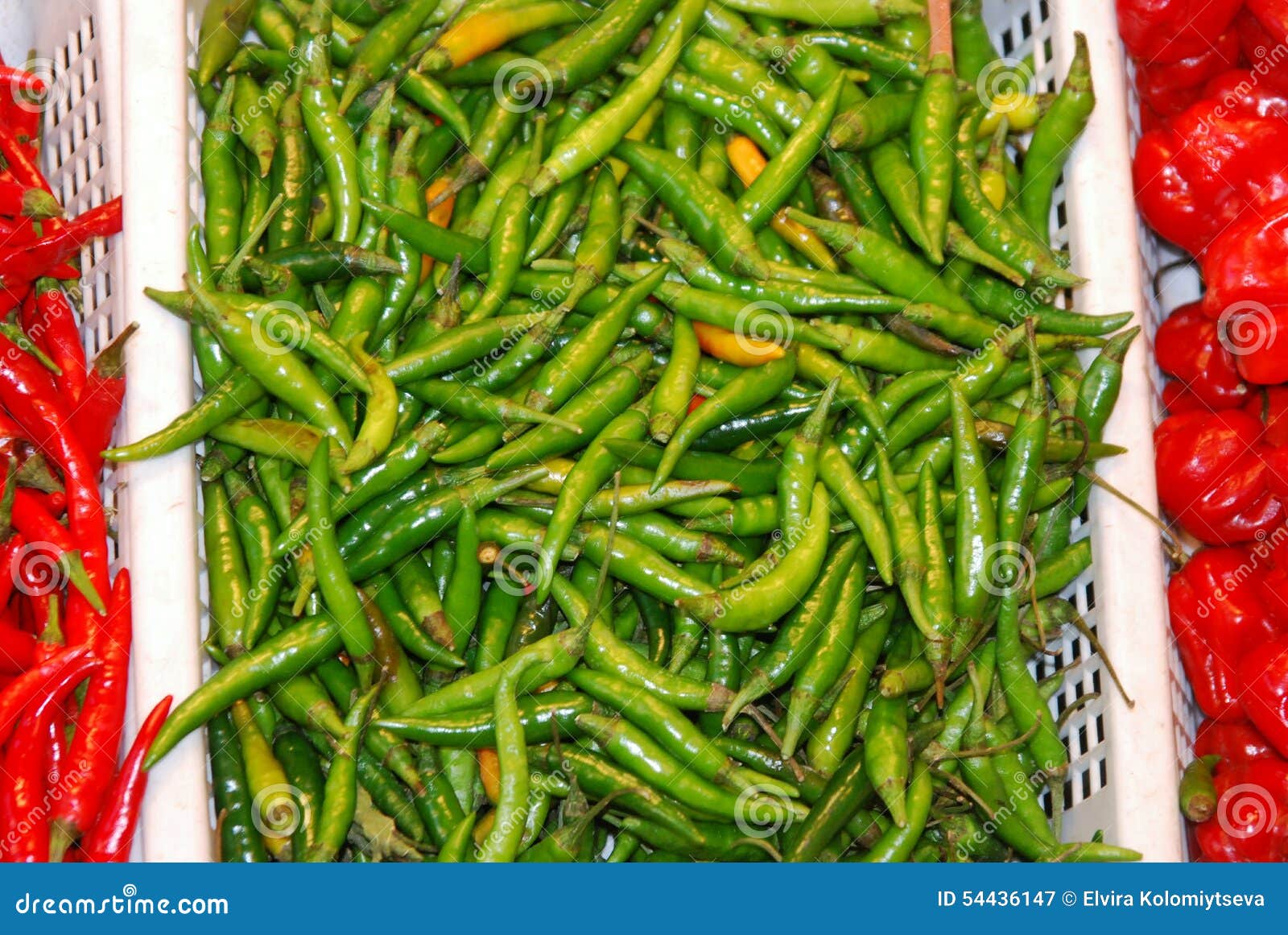 Green chili hot peppers stock image. Image of bitter 54436147