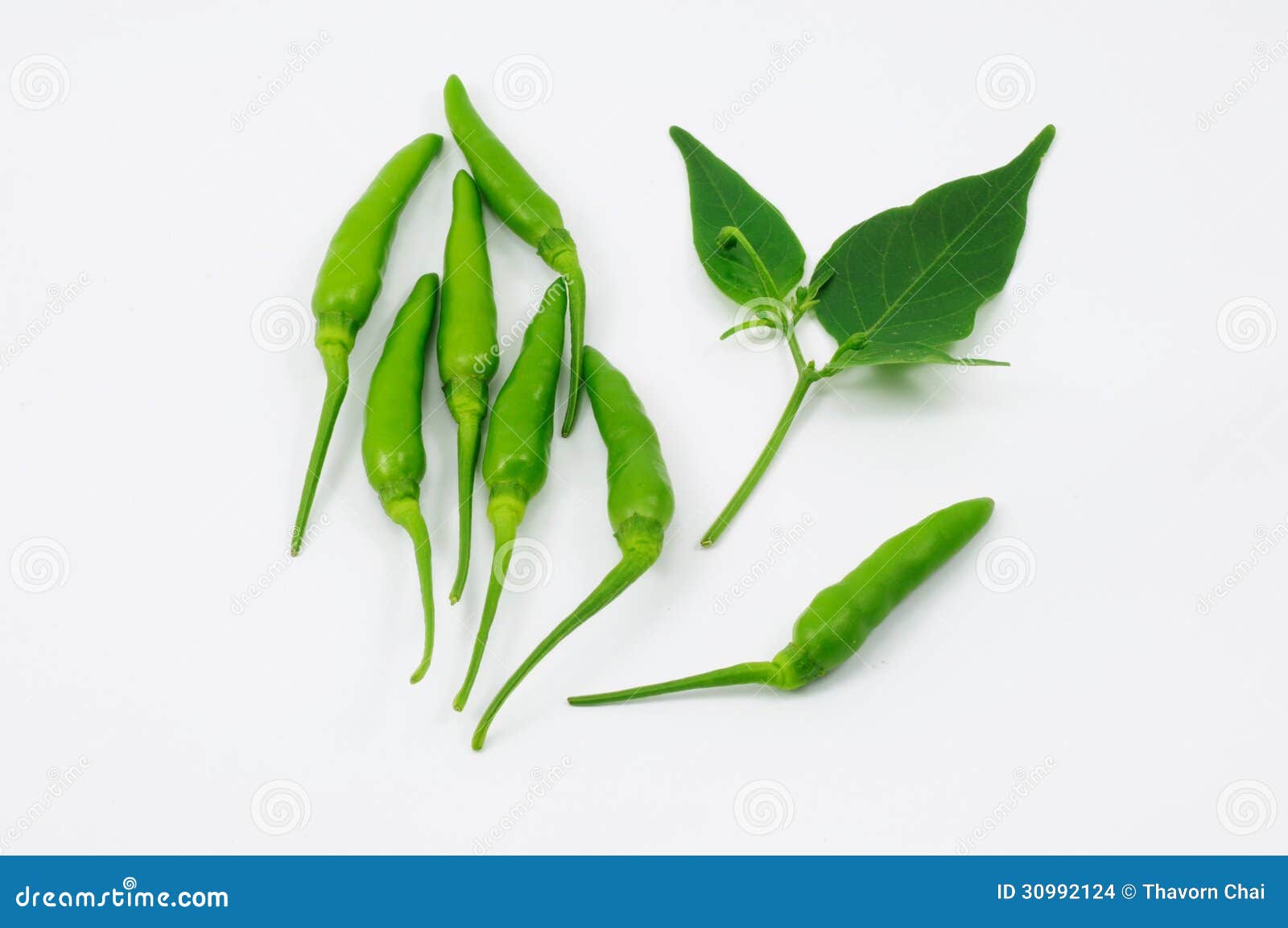 Green chili with leaf stock photo. Image of isolated - 30992124