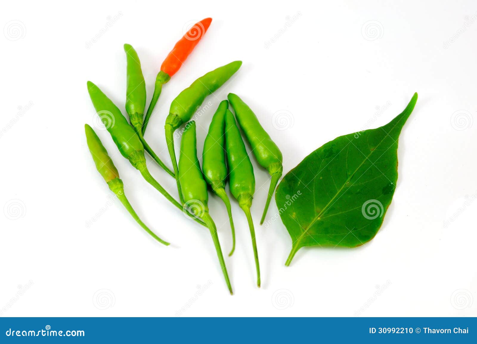 Green chili with leaf stock photo. Image of kitchen, isolate - 30992210