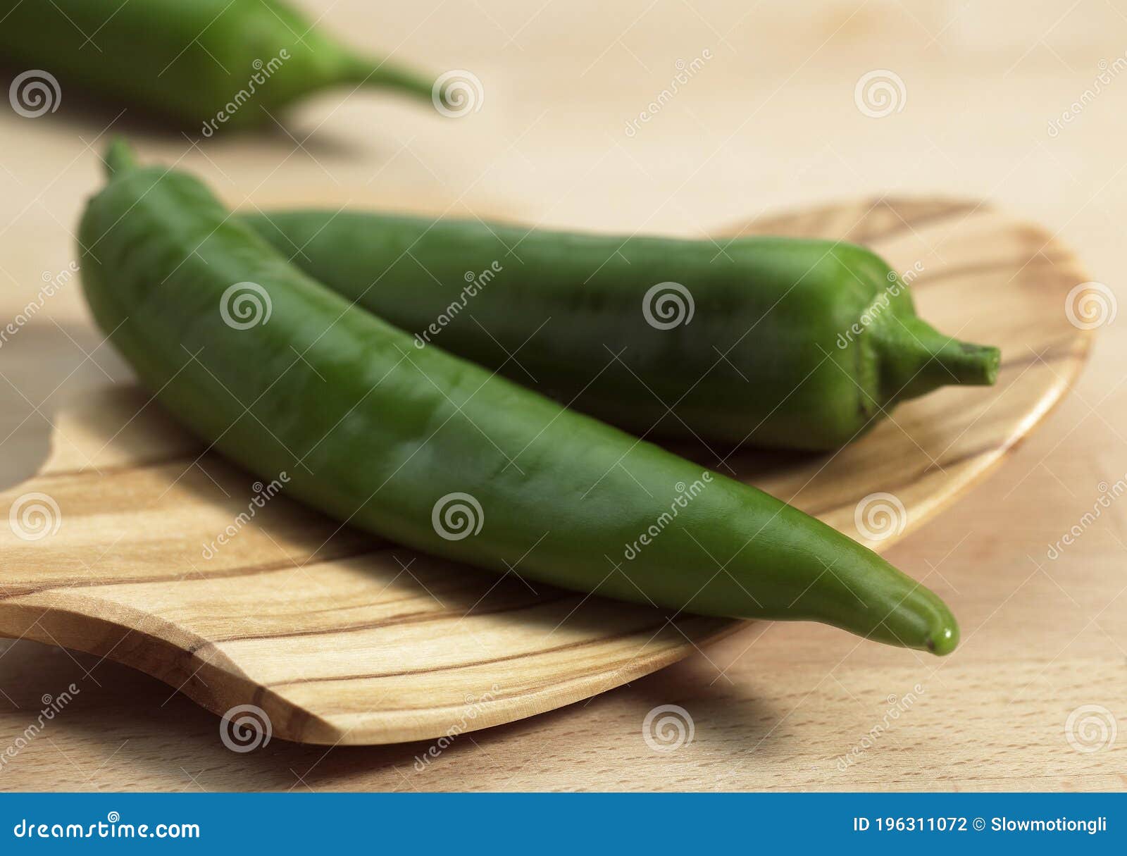 Green Chili Pepper, Capsicum Annuum Stock Photo Image of chili