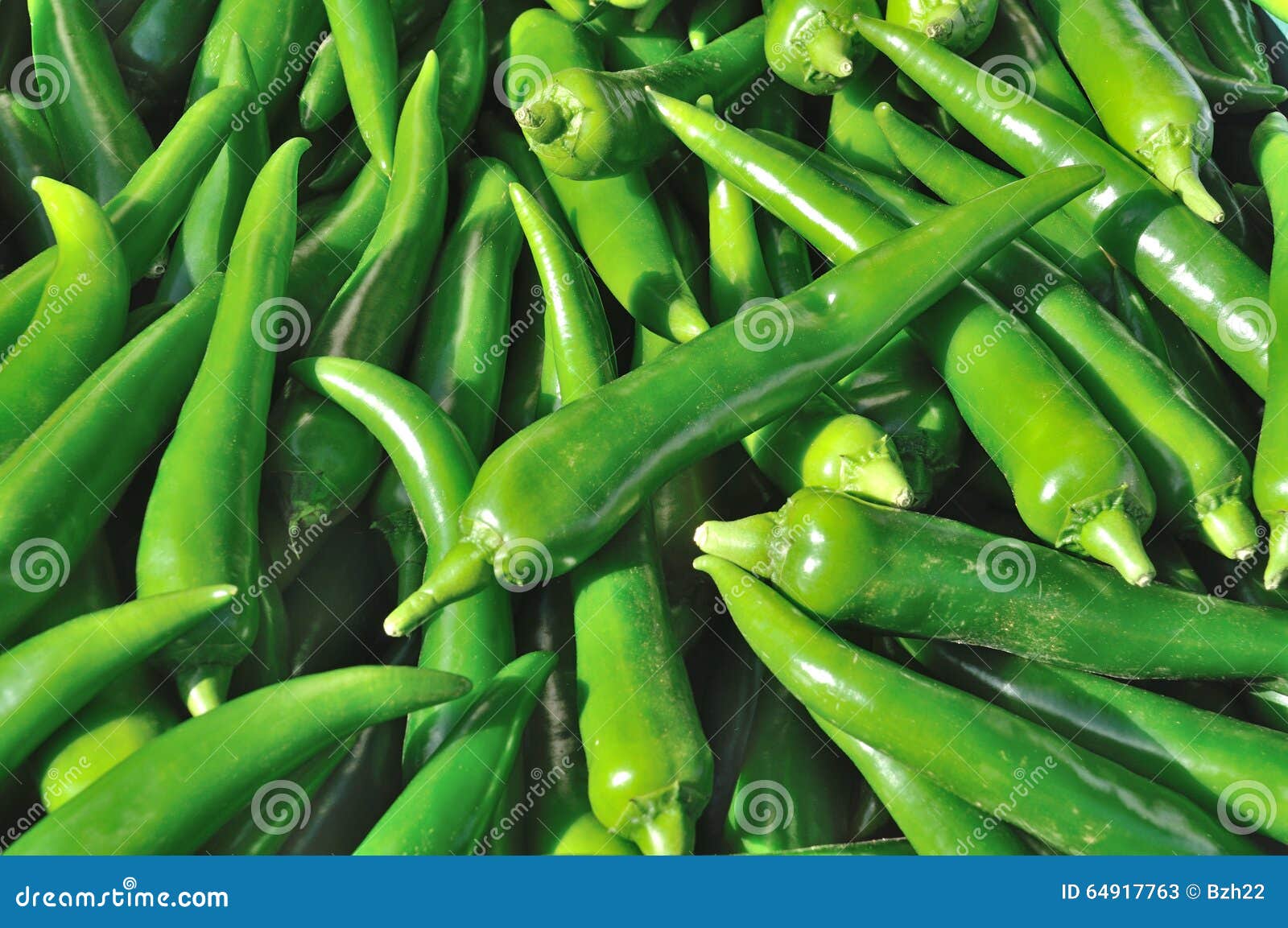 Green chili pepper stock image. Image of pepper, eating 64917763