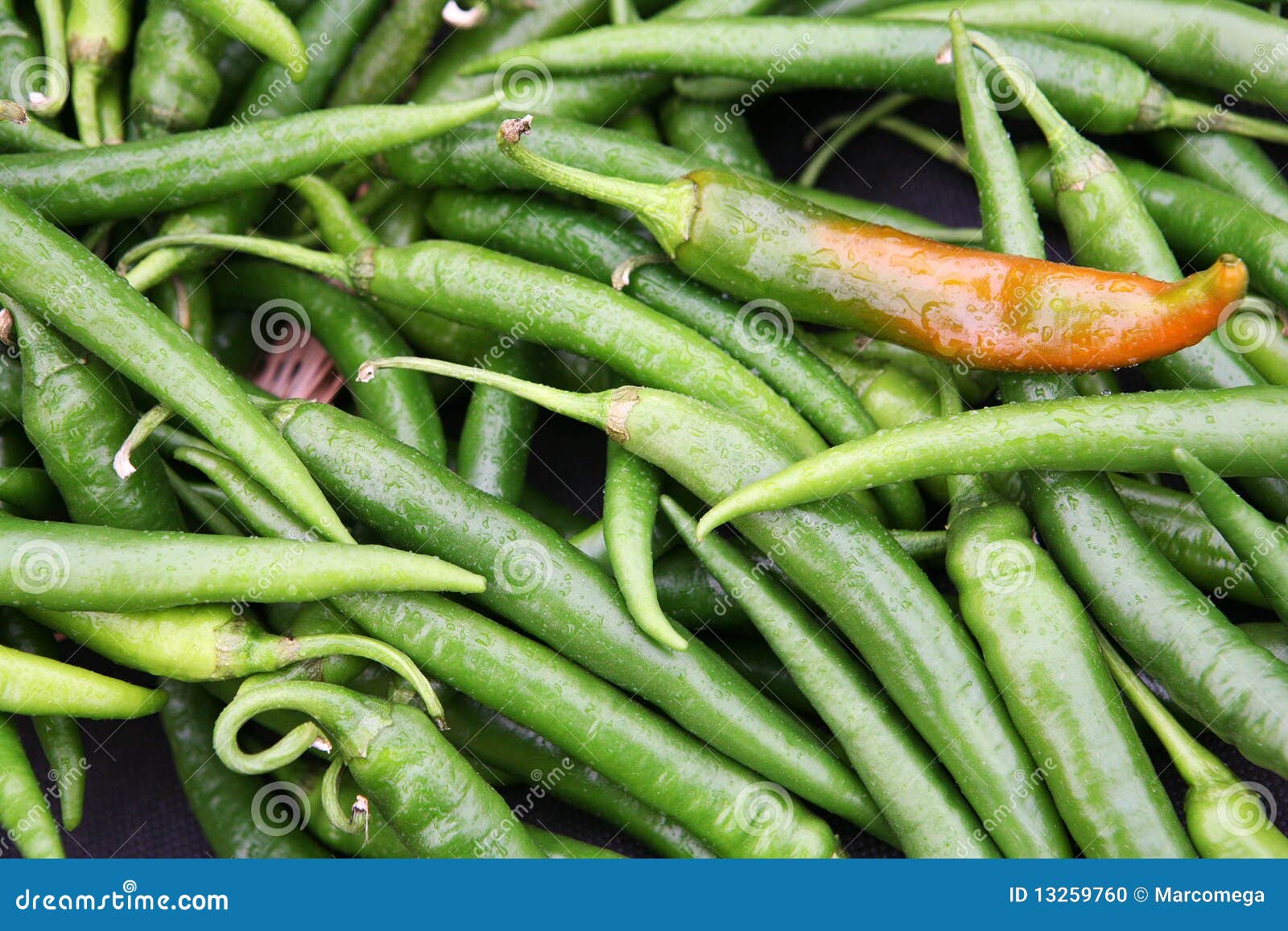Green chili peppers stock photo. Image of sale, industry 13259760