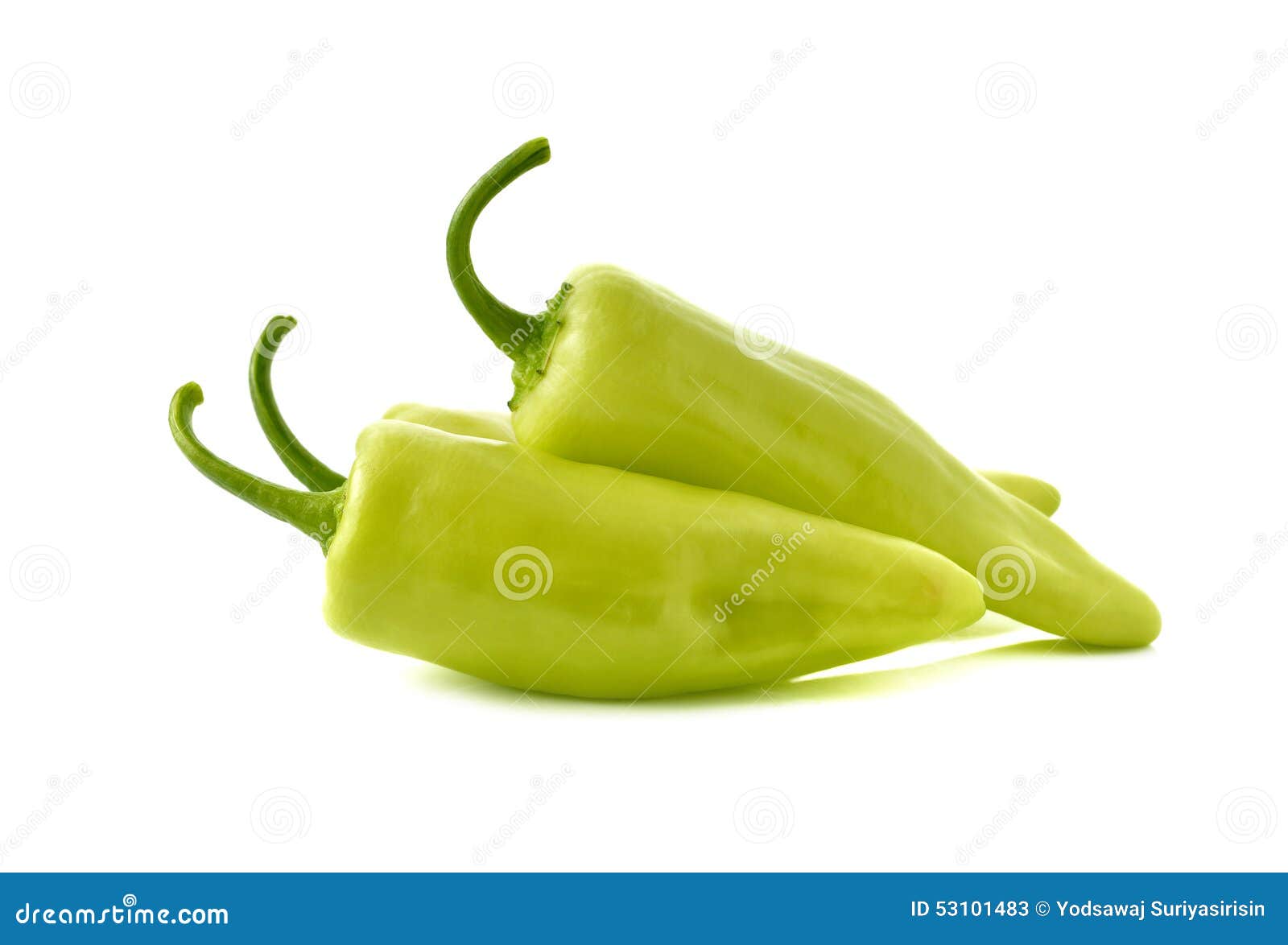 Green Chili Peppers with Stem on White Stock Image Image of flame