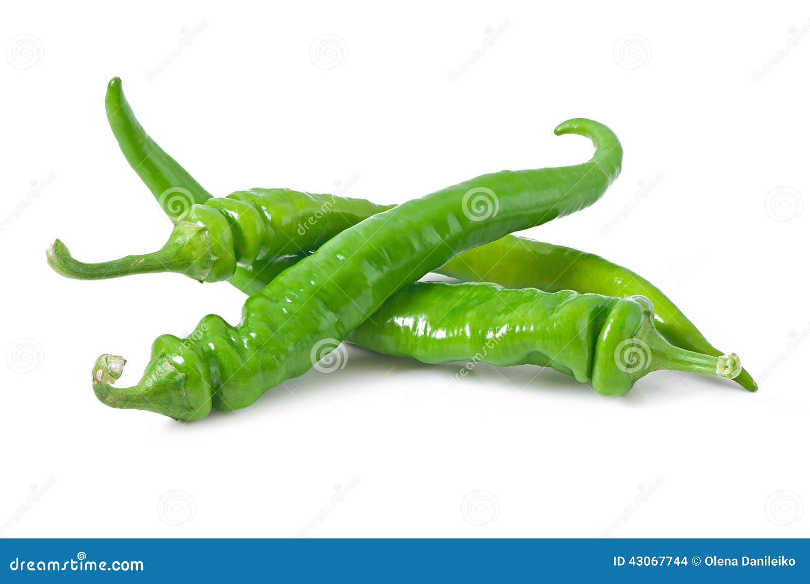Green chili peppers stock photo. Image of group, macro 43067744