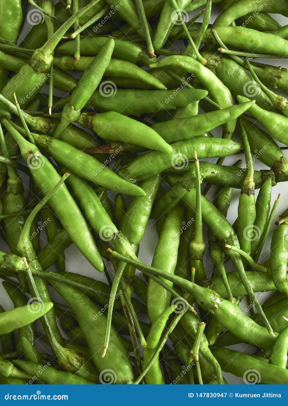 Green Chili Peppers Peppers Stock Image Image of isolated, fresh