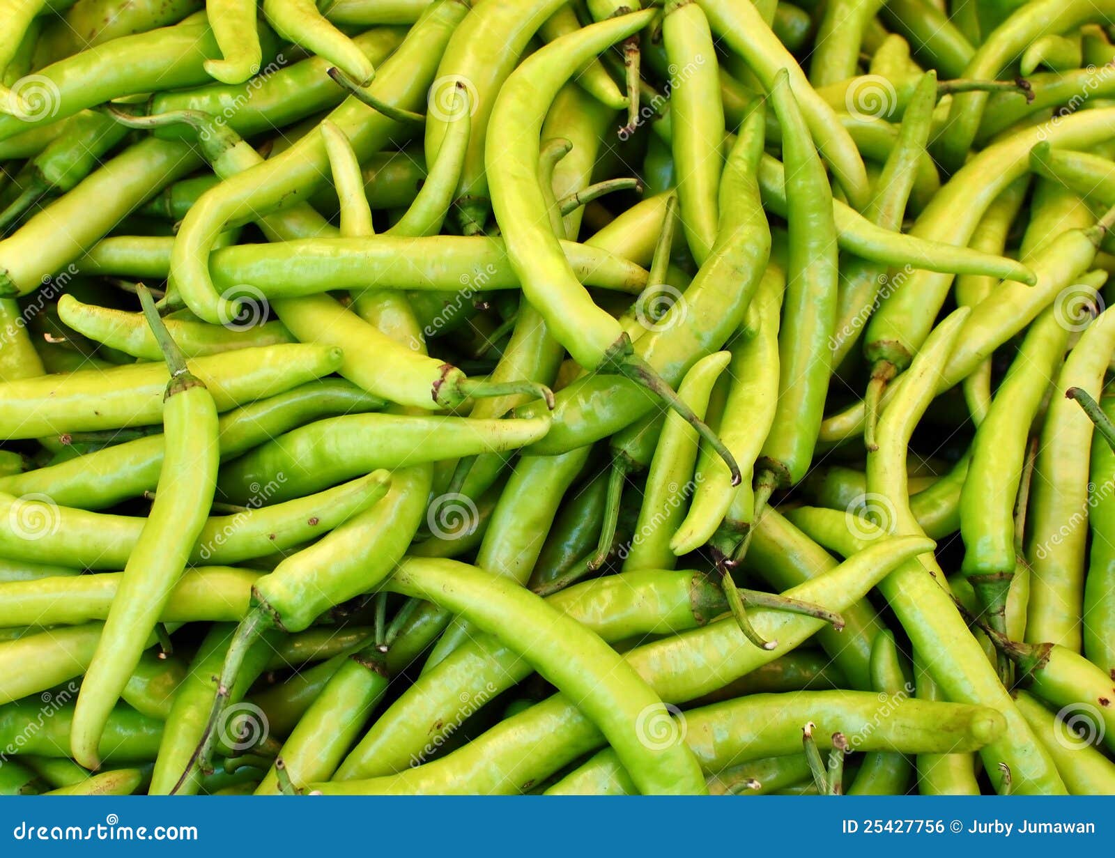 Green Chilies stock photo. Image of spicy, chilies, ingredient 25427756