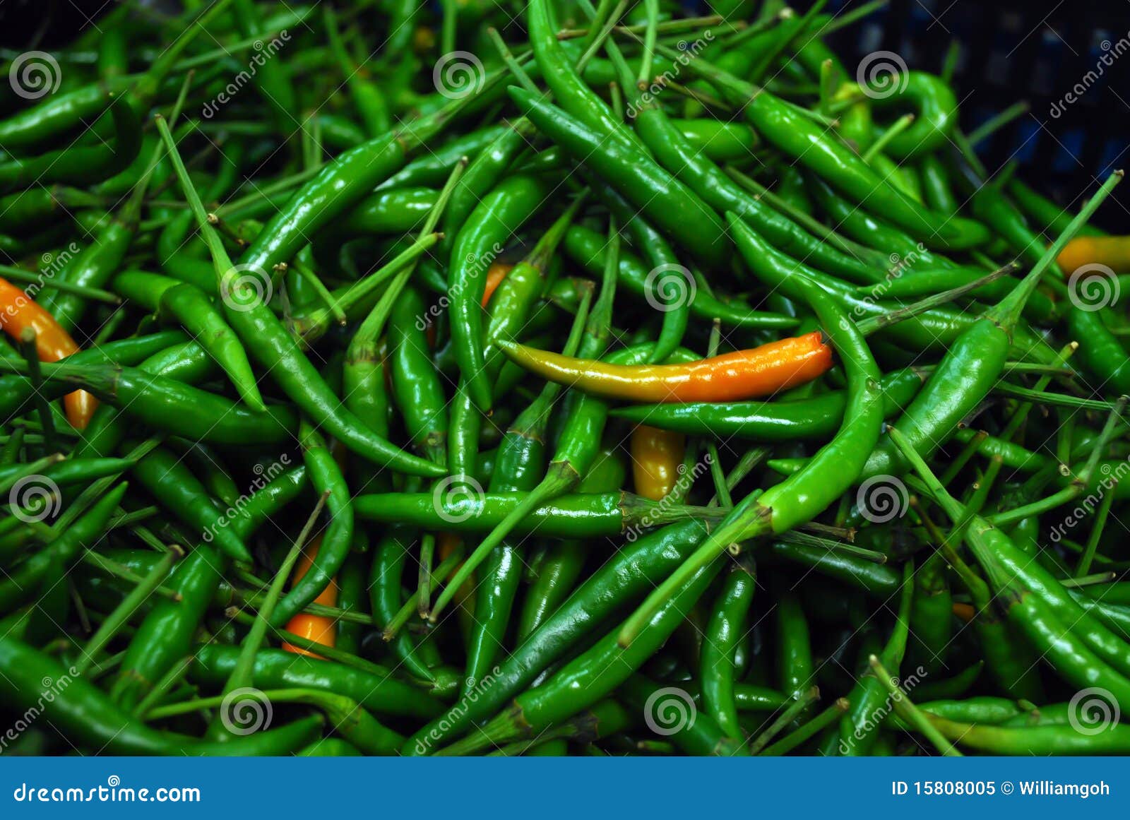Green chilli stock image. Image of green, ingredients 15808005